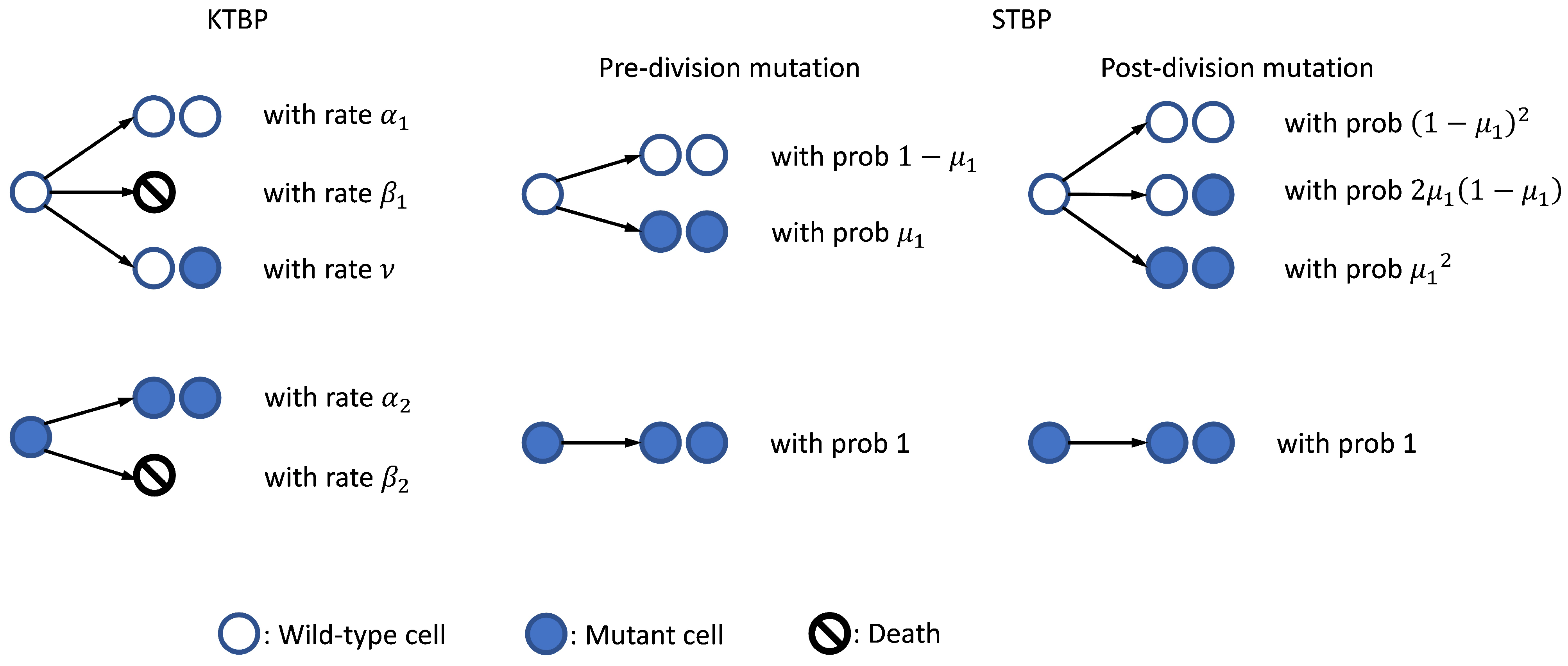 Axioms 12 00101 g001