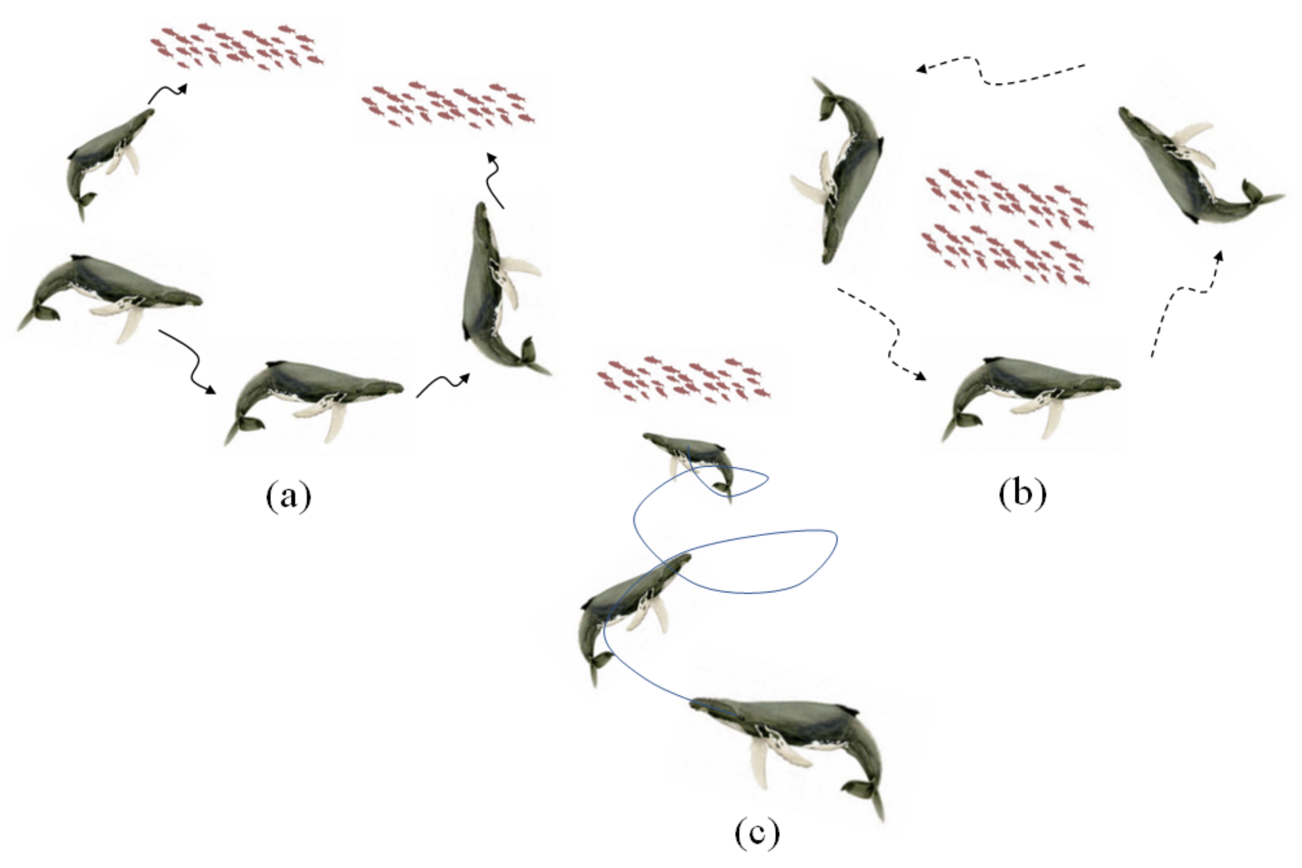 Axioms 12 00252 g005