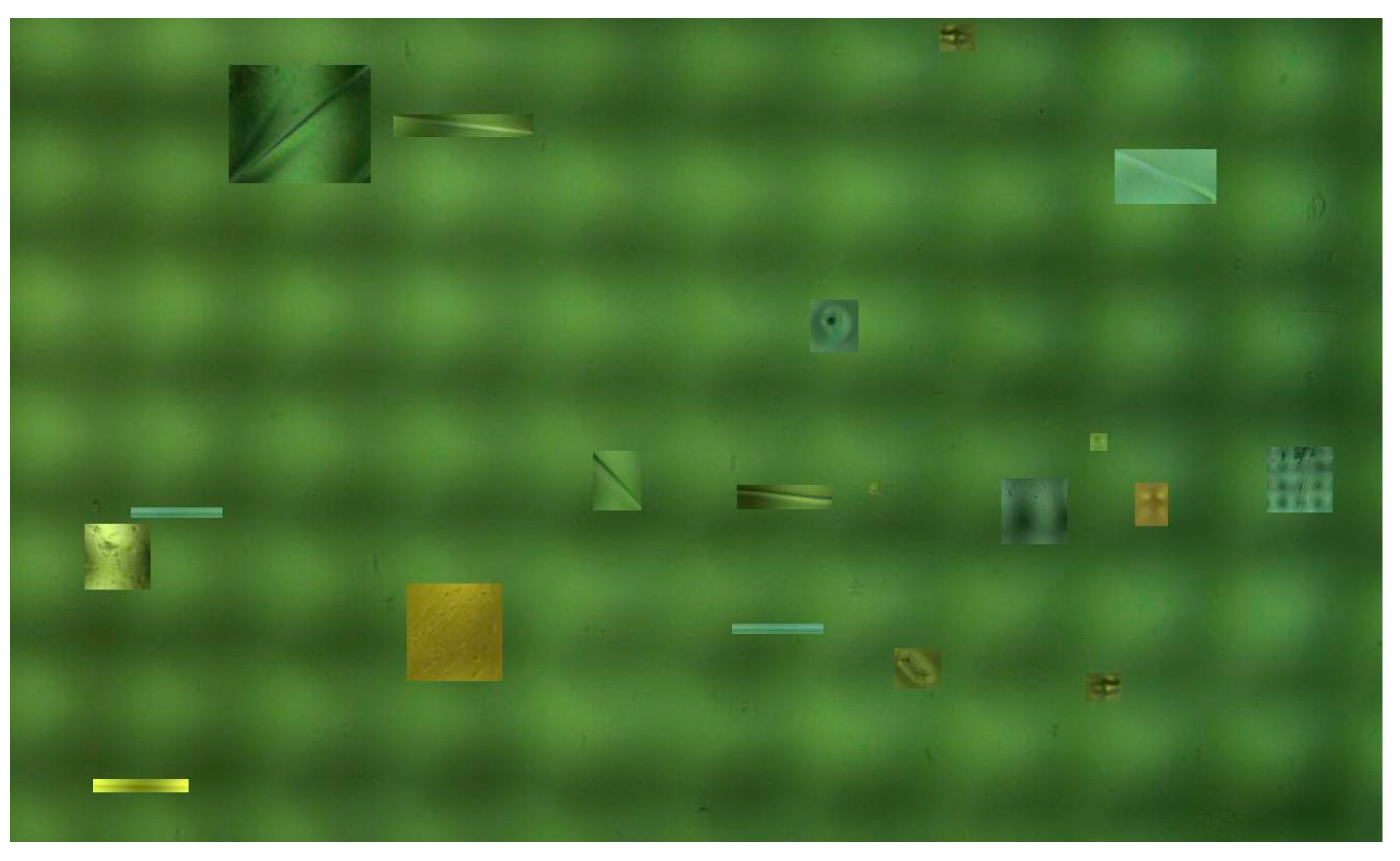 Axioms 12 00386 g013