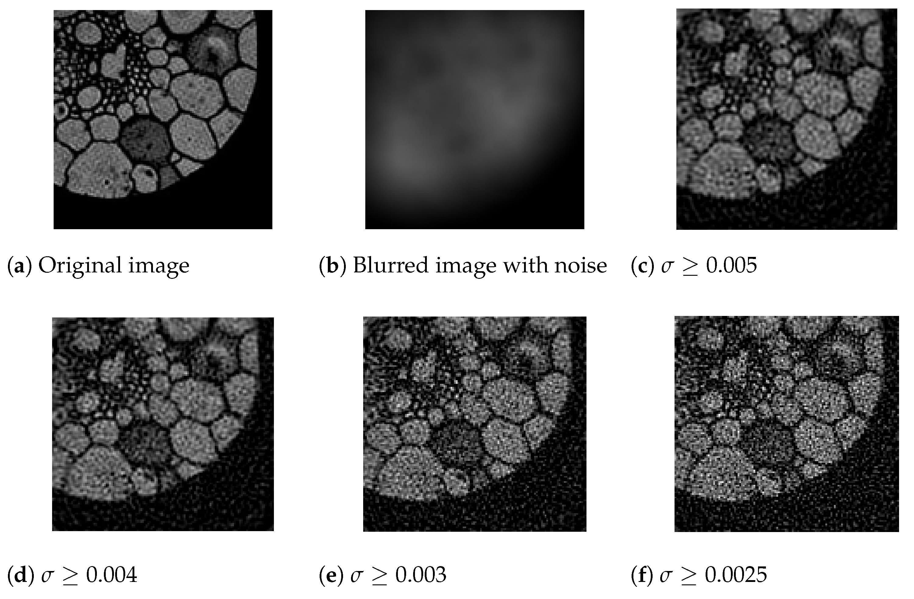 Axioms 12 00485 g002