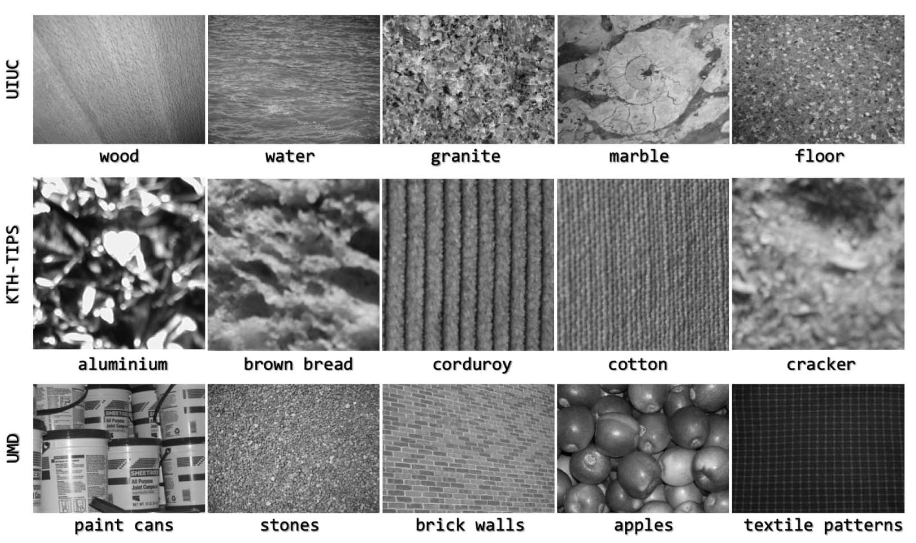 Axioms 12 00535 g003