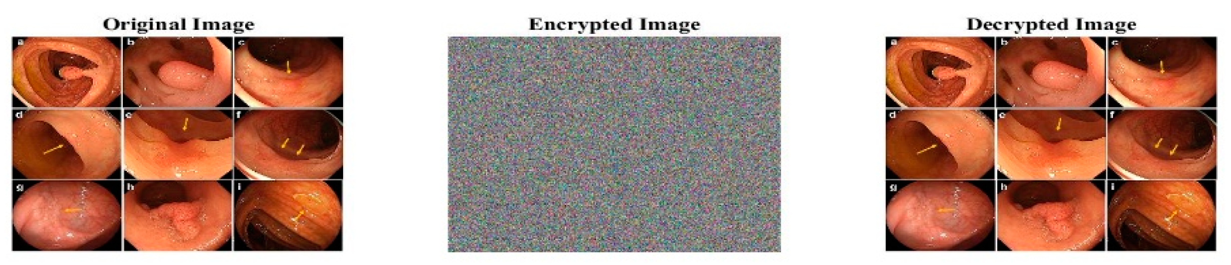 Axioms 12 00828 g020