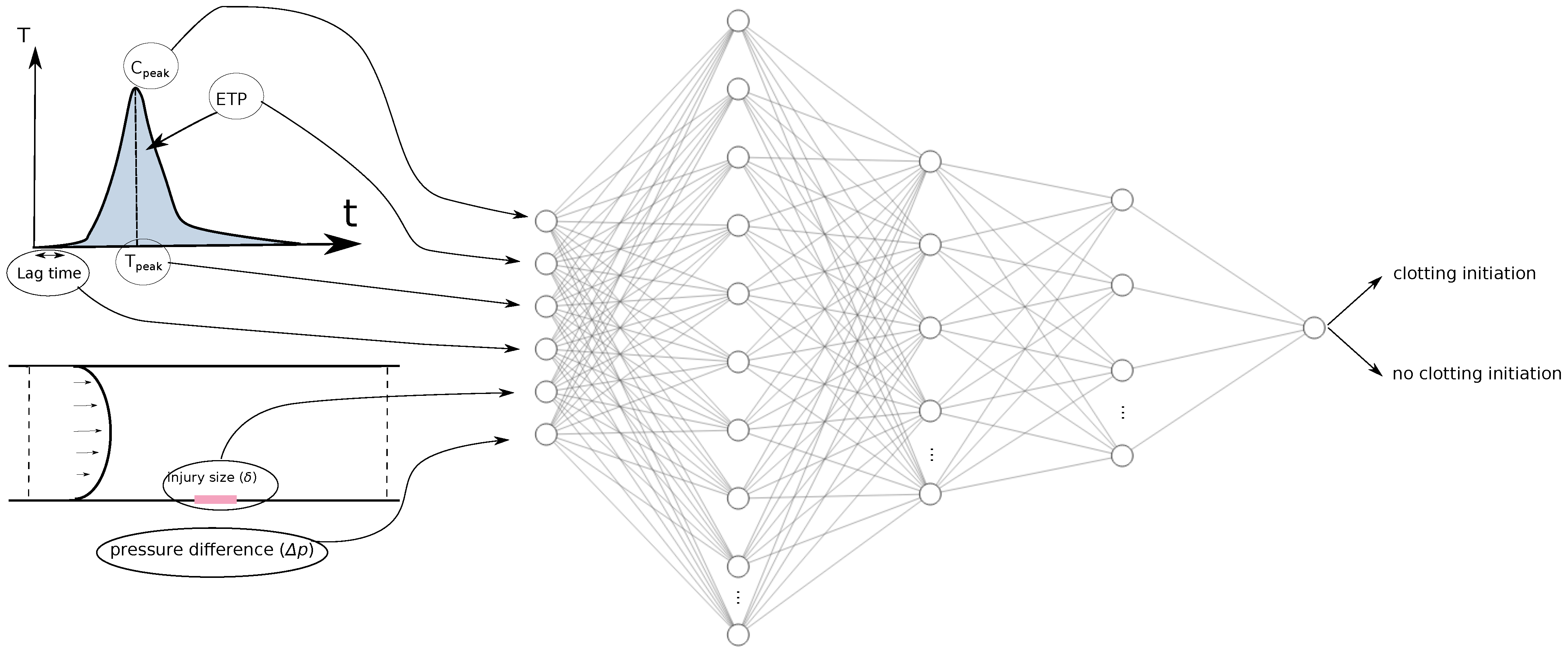 Axioms 12 00873 g001