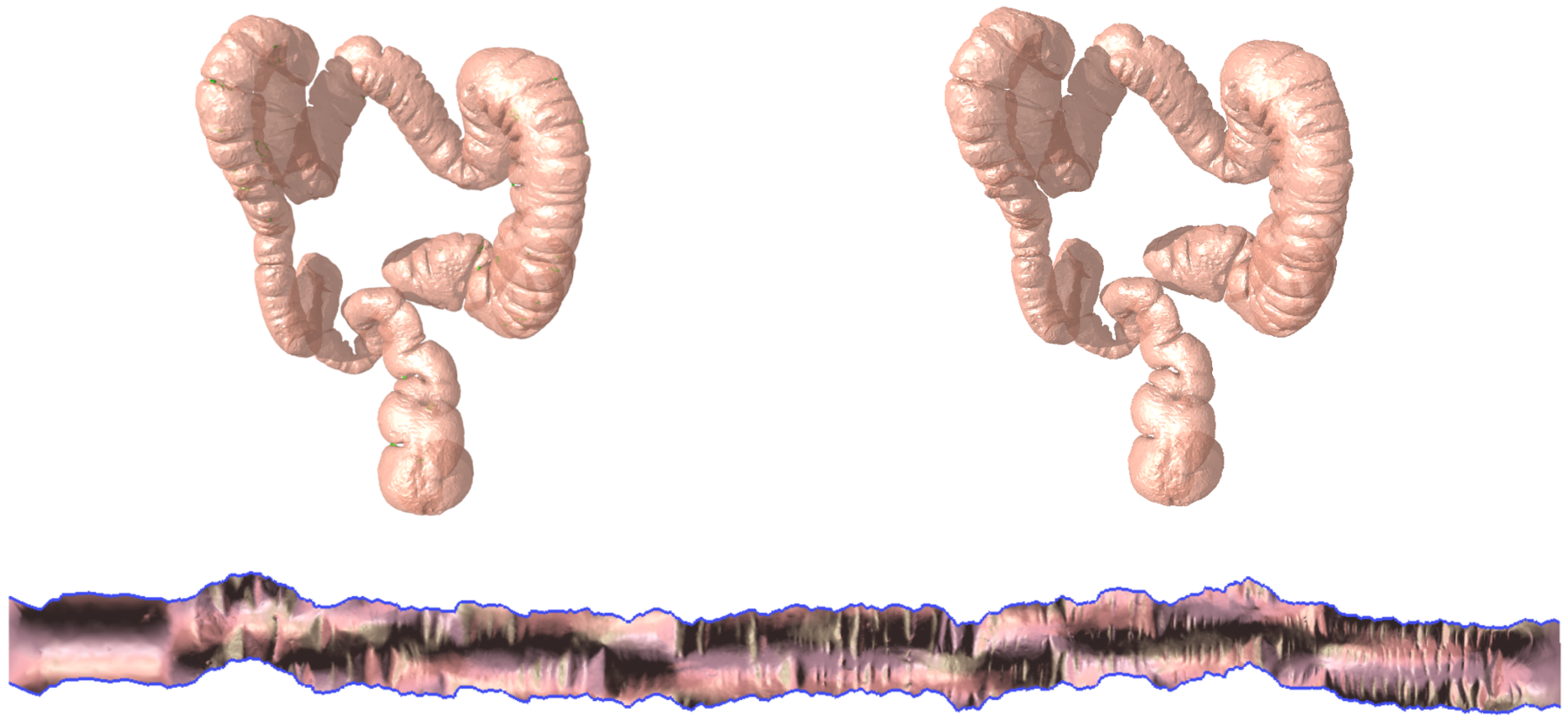 Axioms 12 00942 g008