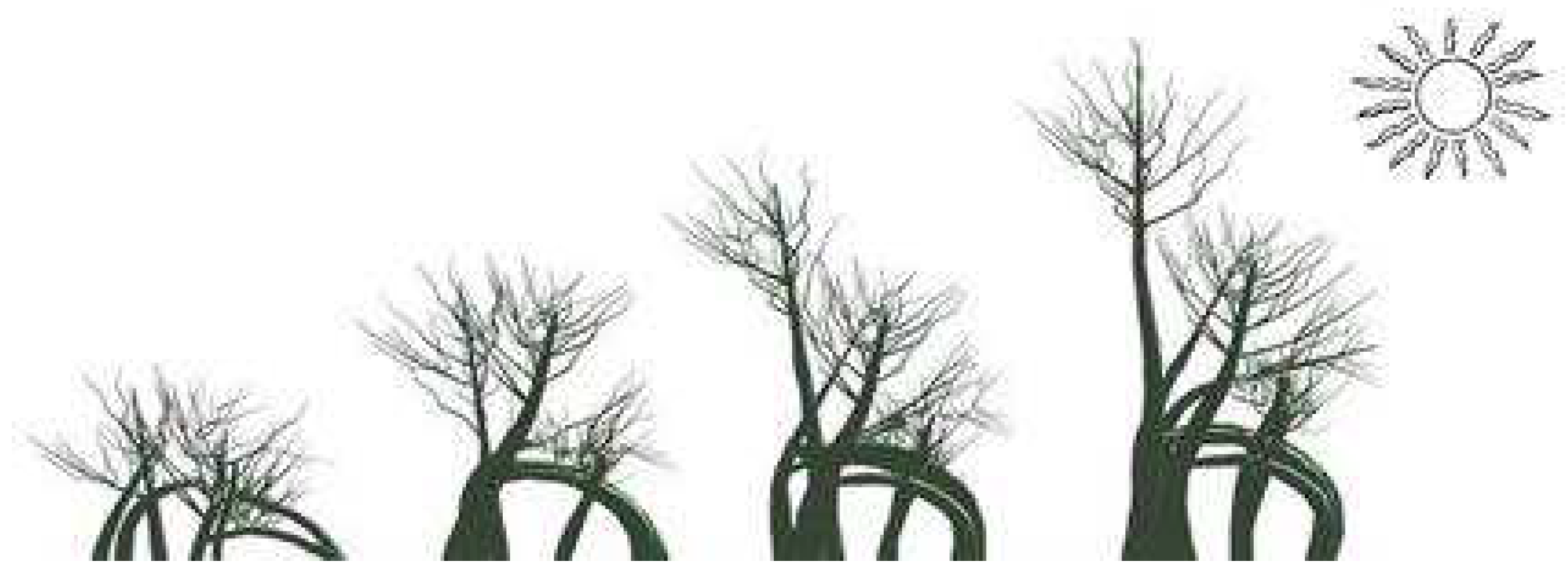 Axioms 12 01017 g002