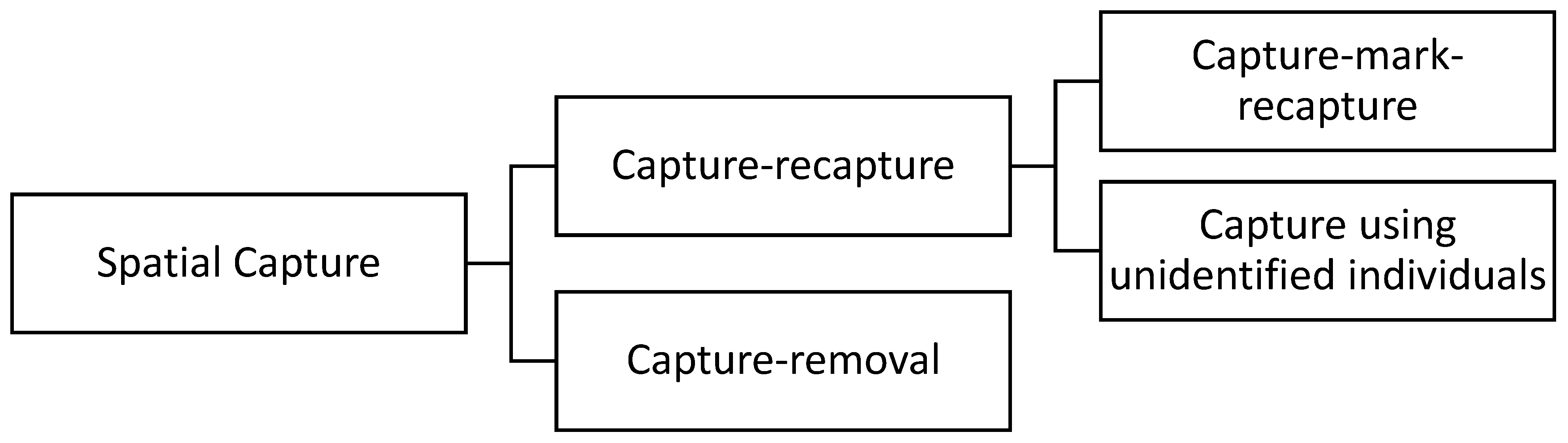 Axioms 12 01094 g001