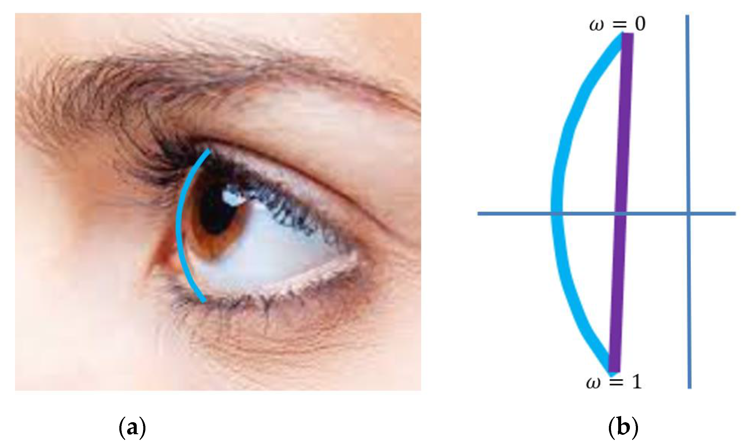 Axioms 13 00185 g002