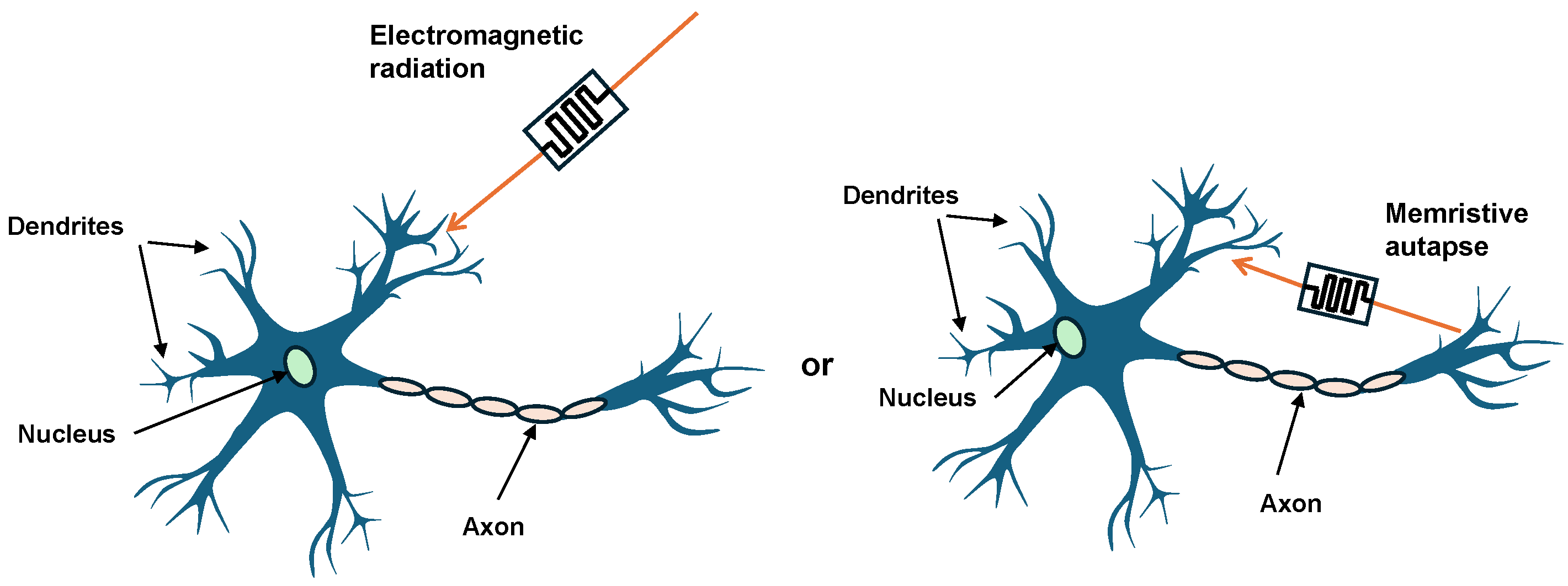 Axioms 13 00440 g001 Axioms 13 00440 g001