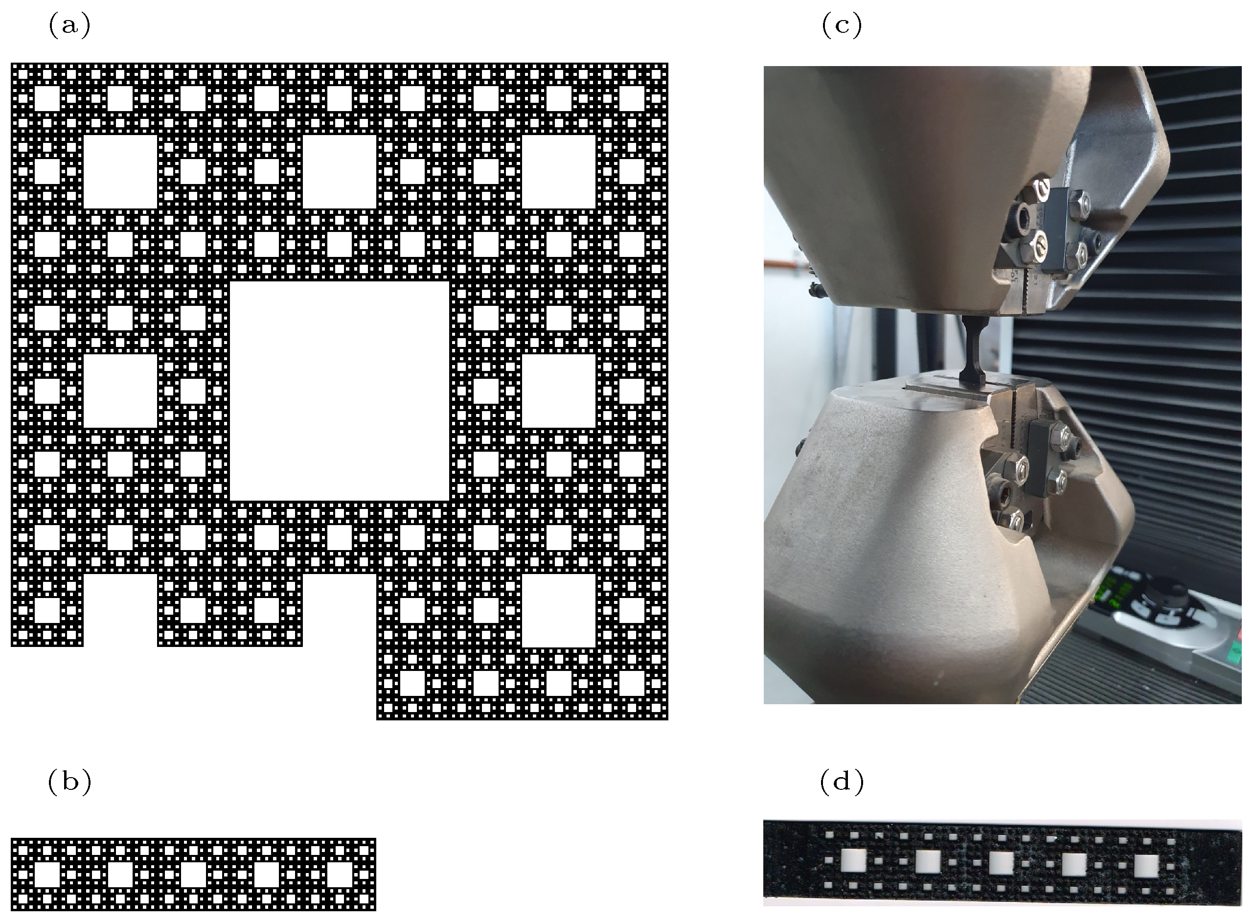 Axioms 14 00033 g003