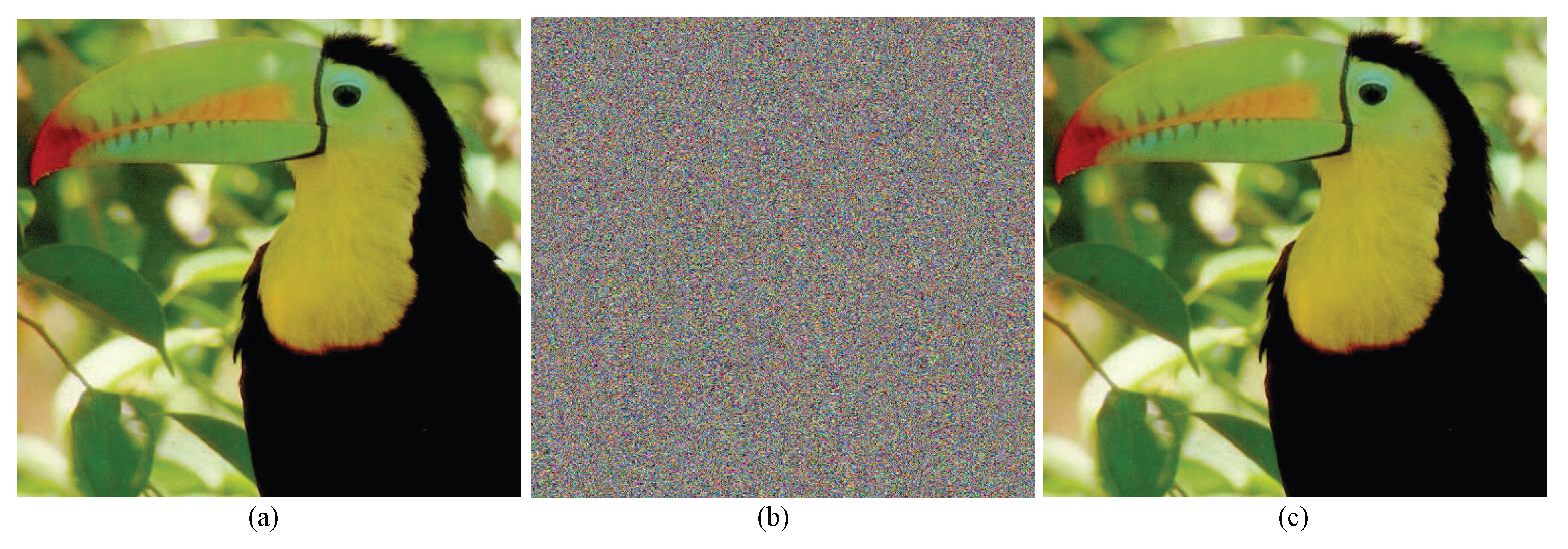 Axioms 14 00161 g005