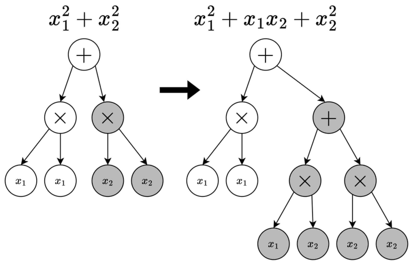 Axioms 14 00343 g002