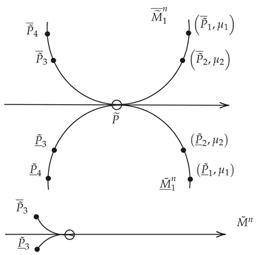 Axioms 14 00591 i001