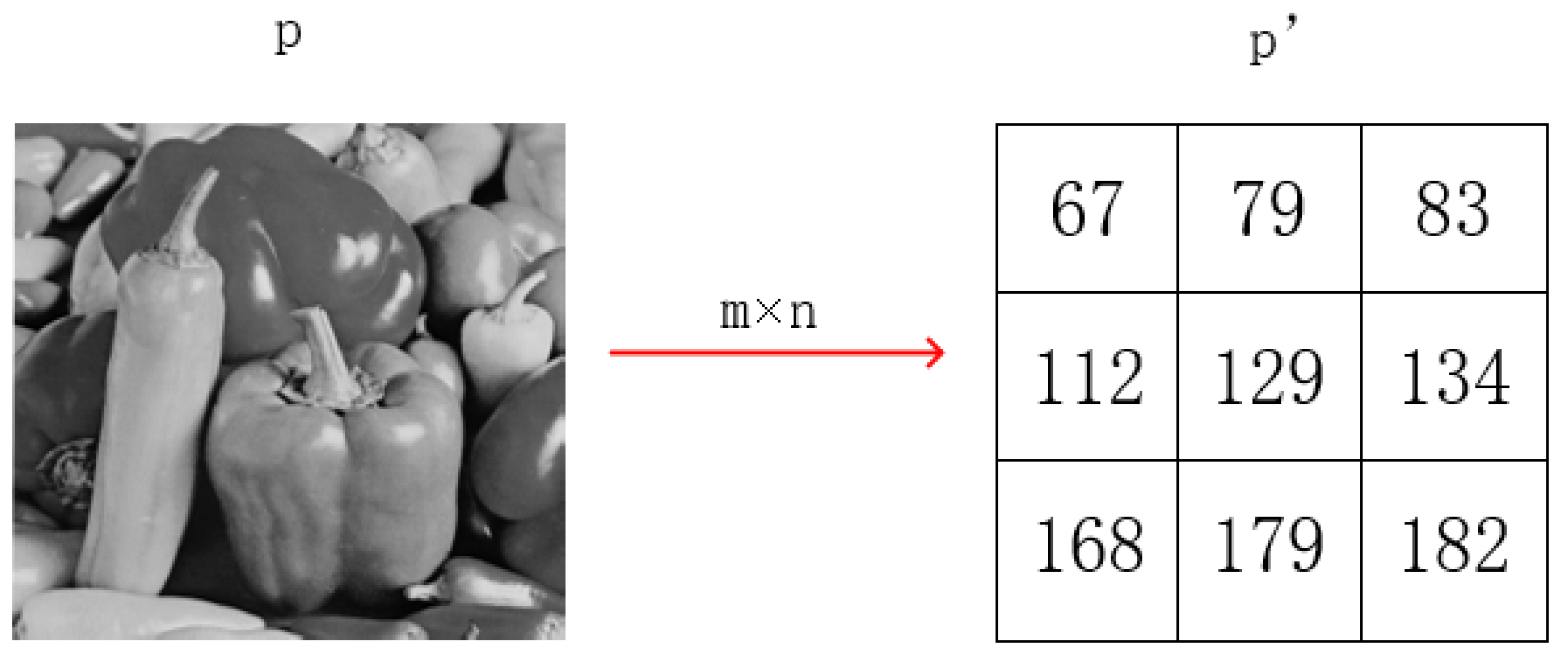 Axioms 15 00304 g004 Axioms 15 00304 g004