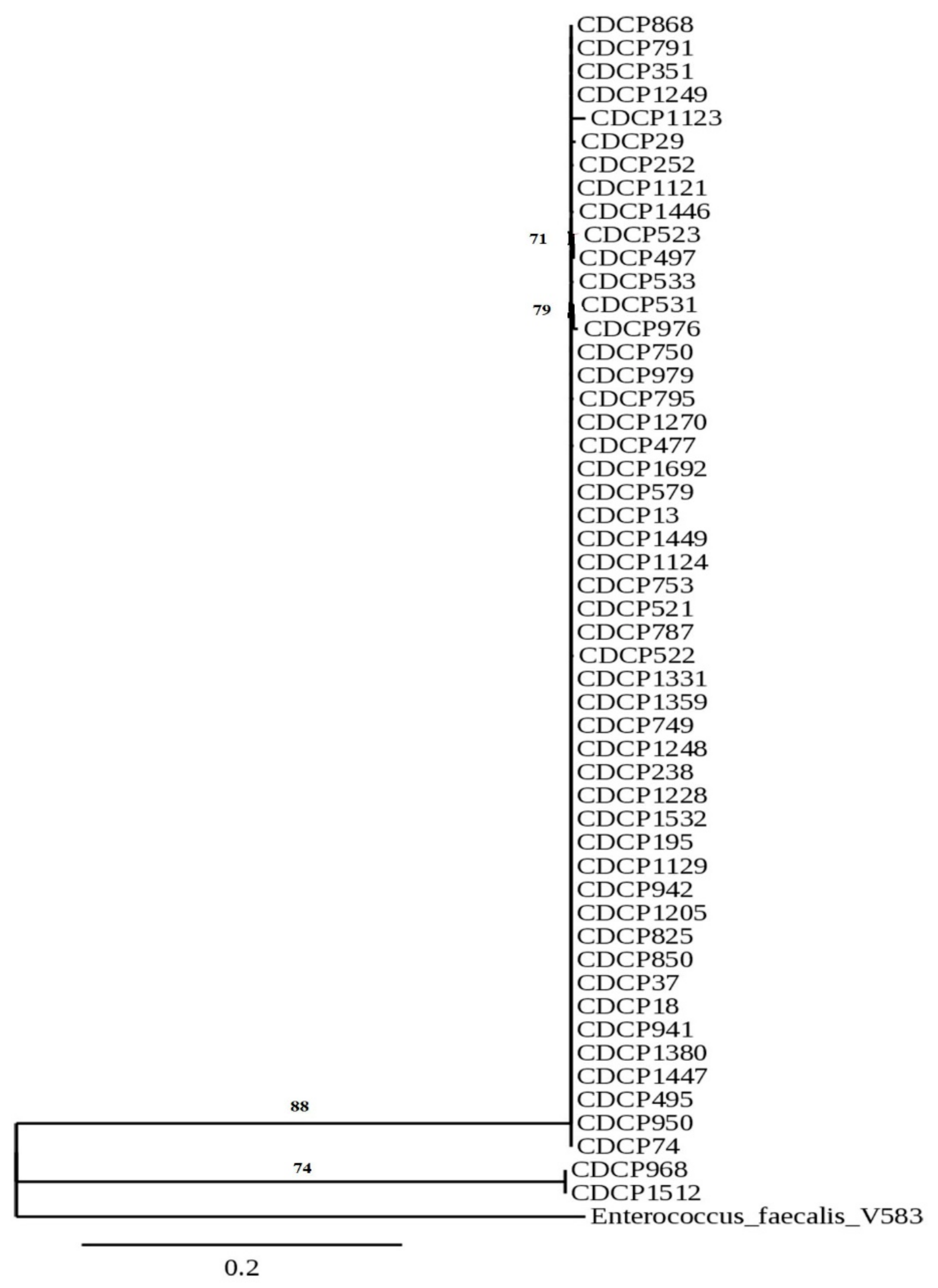 Bacteria 01 00007 g001