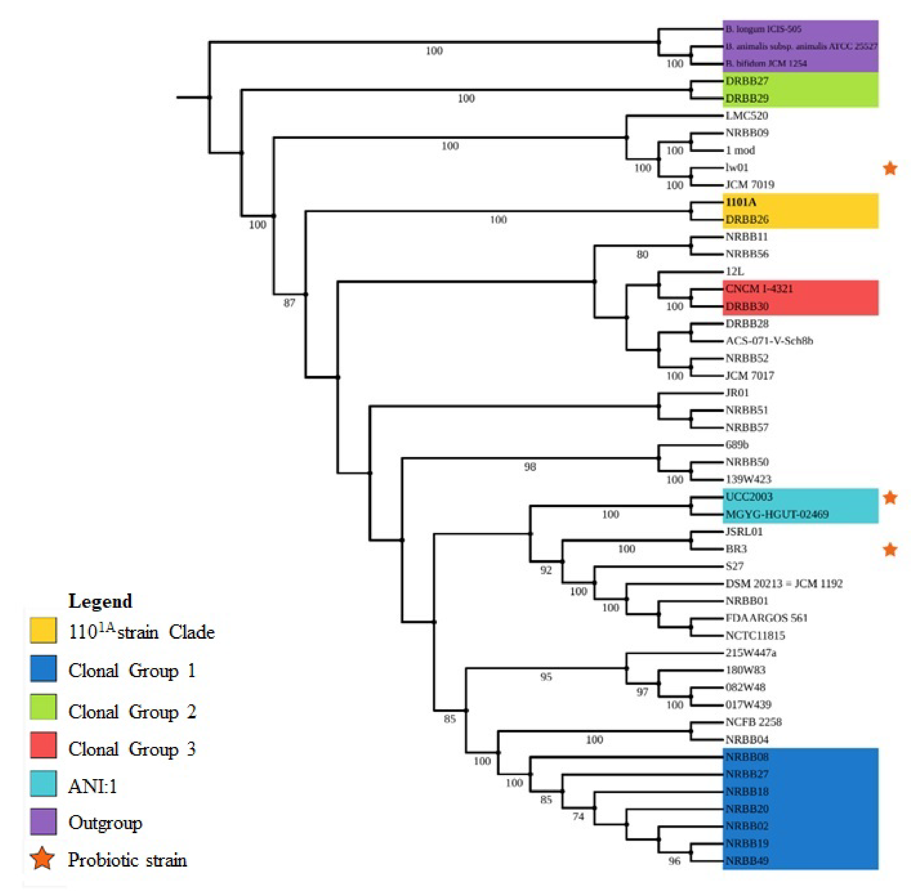 Bacteria 01 00013 g002