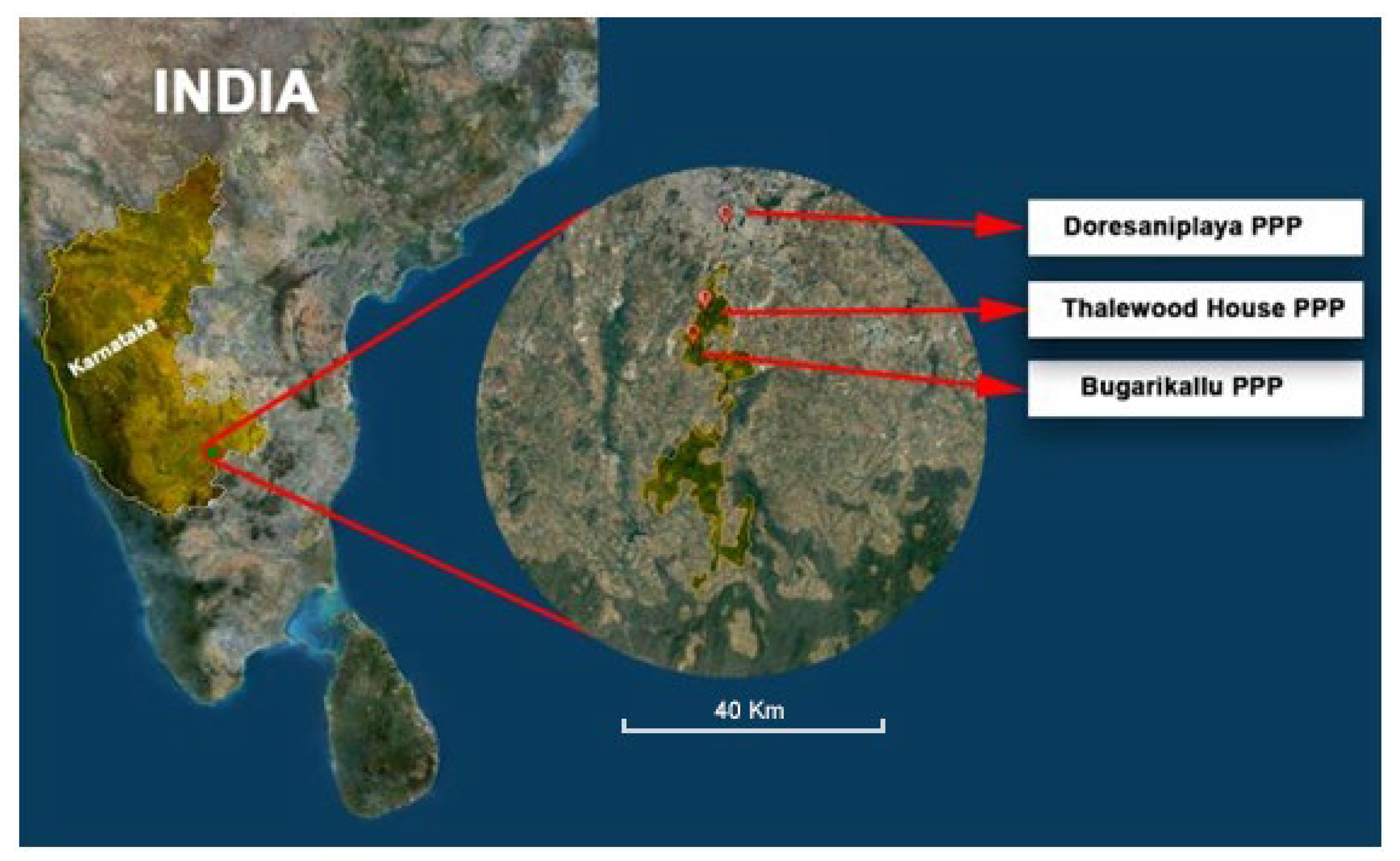Bacteria 02 00006 g004