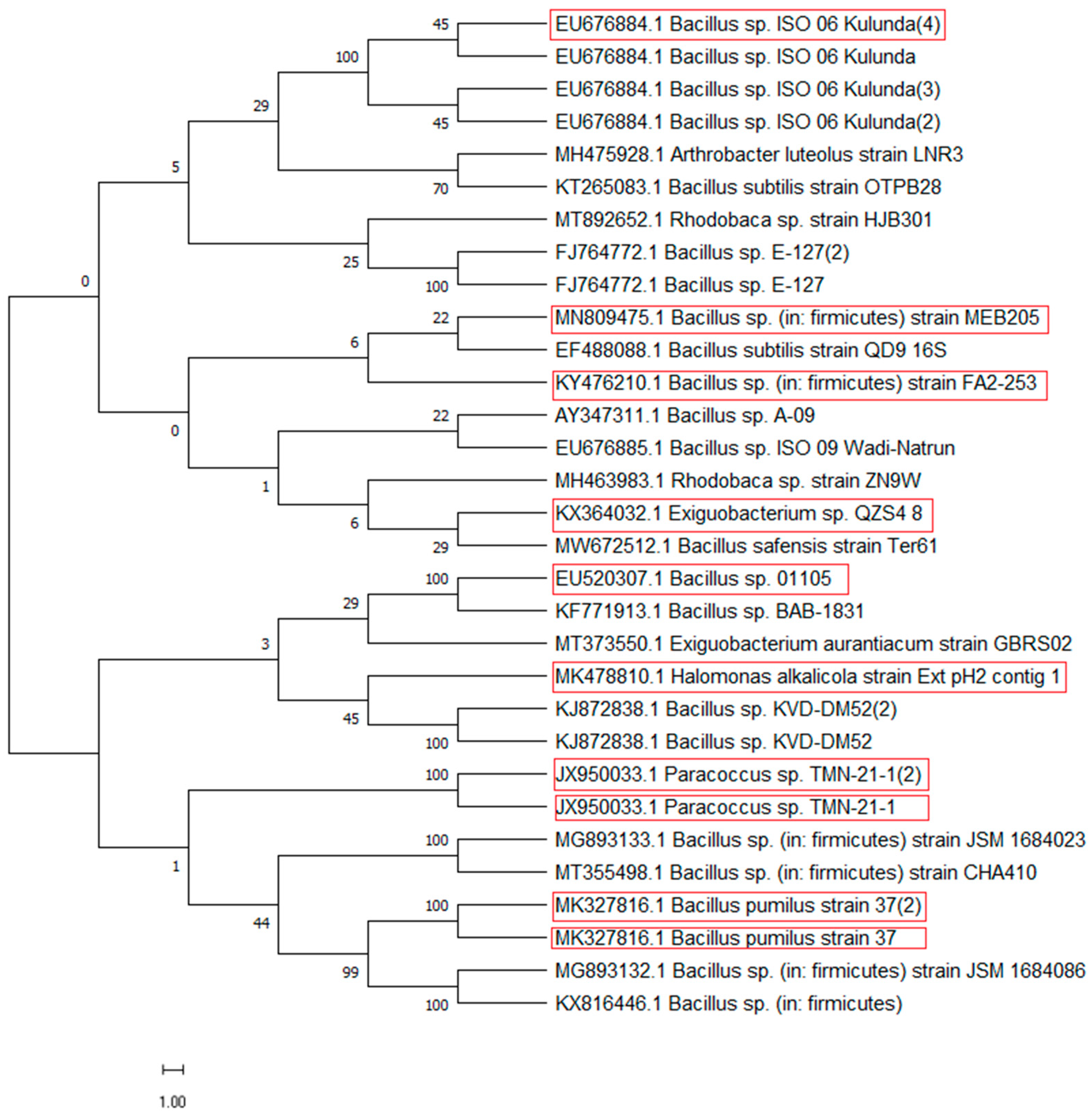 Bacteria 02 00007 g004 Bacteria 02 00007 g004