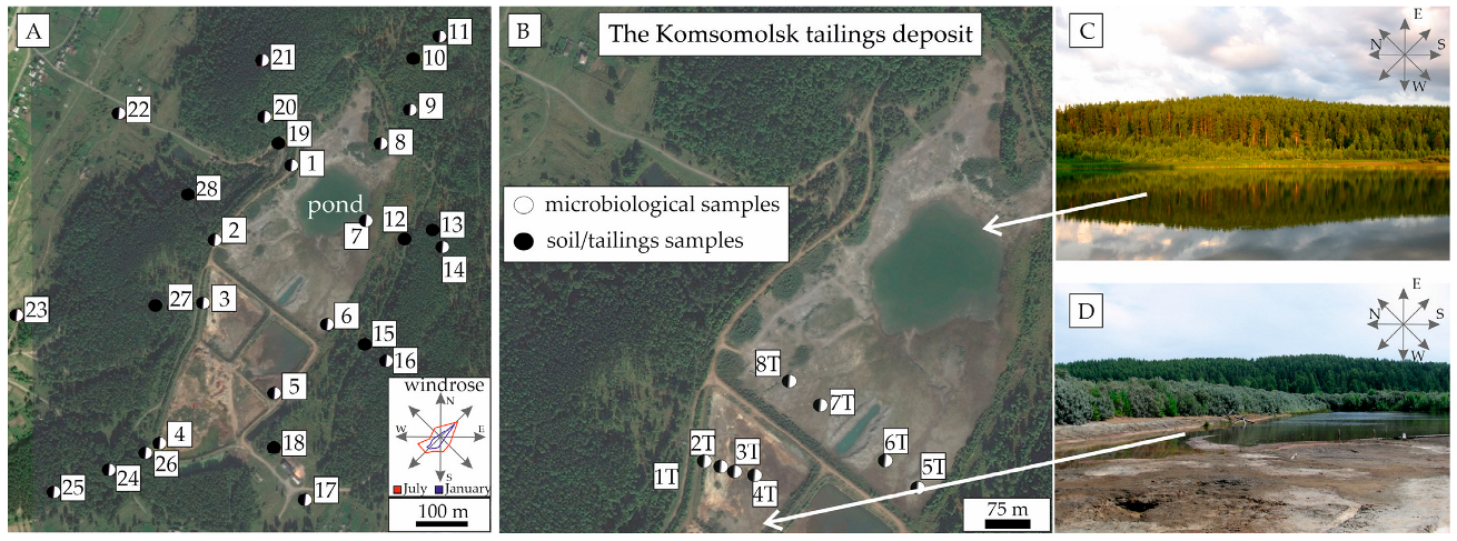 Bacteria 02 00009 g001