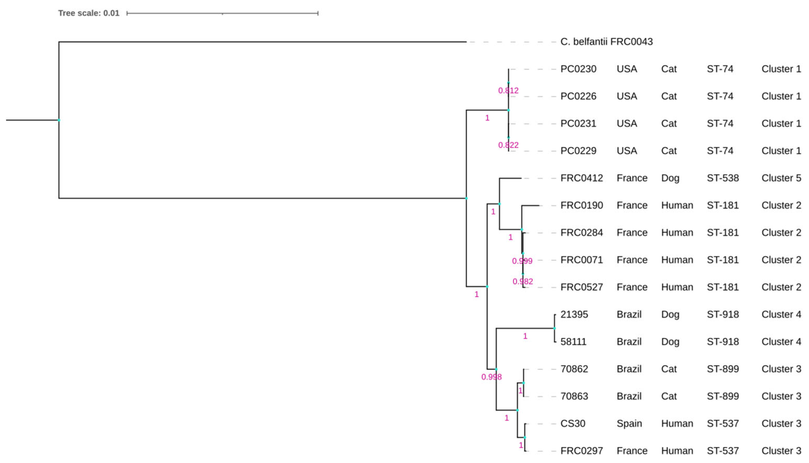 Bacteria 03 00007 g001