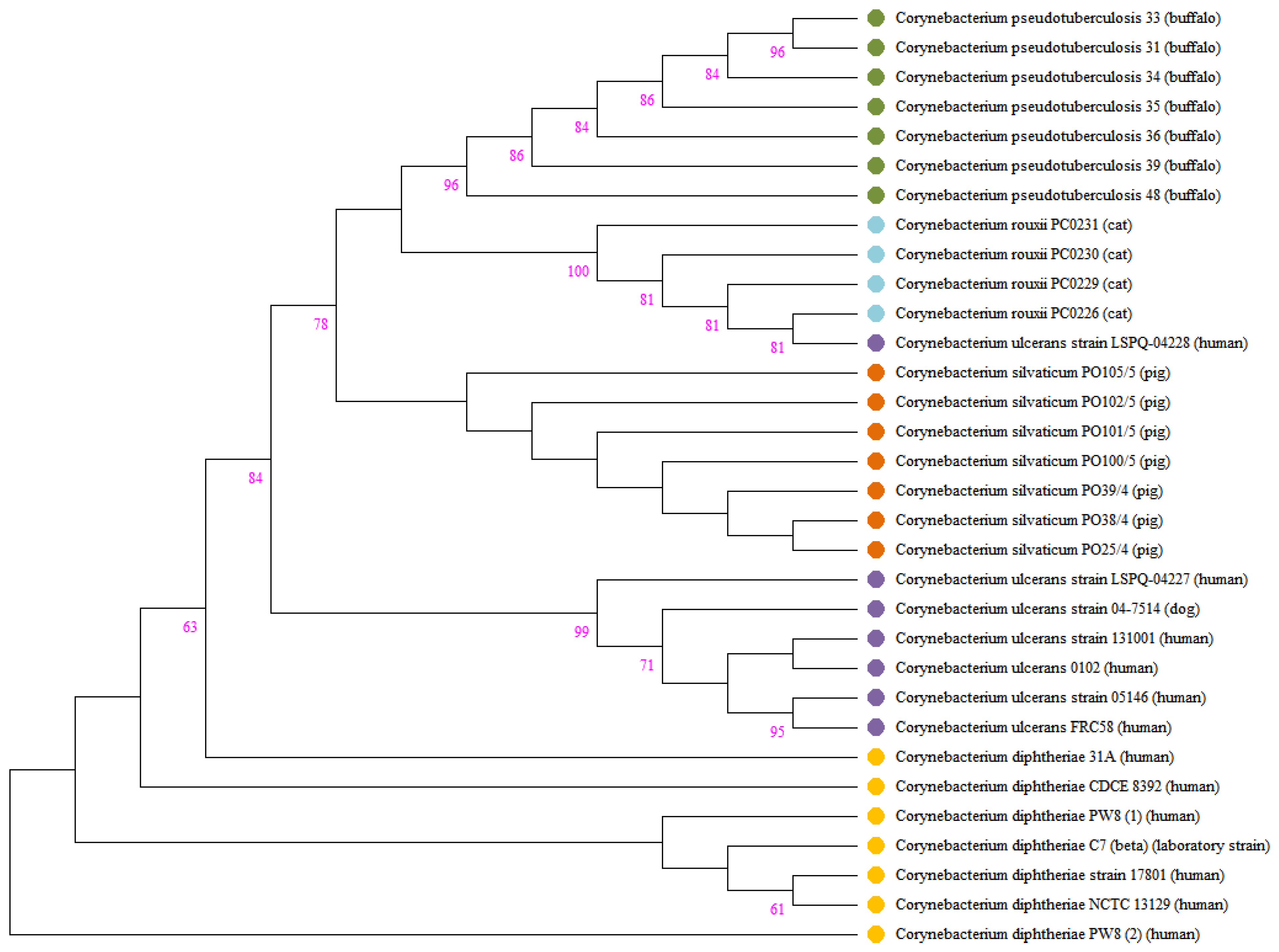 Bacteria 03 00007 g005