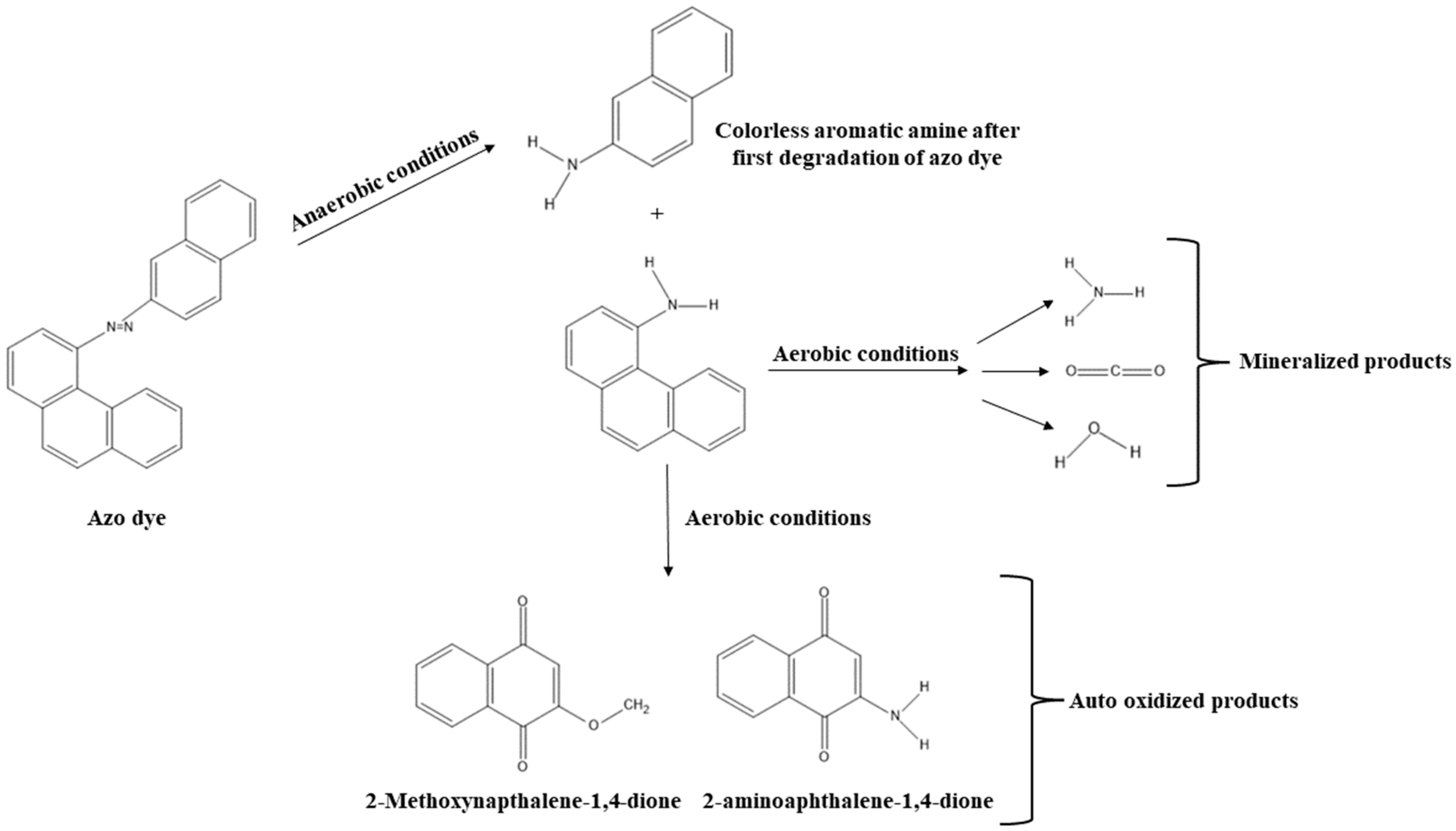 Advancing Dye Degradation: Integrating Microbial Metabolism ...