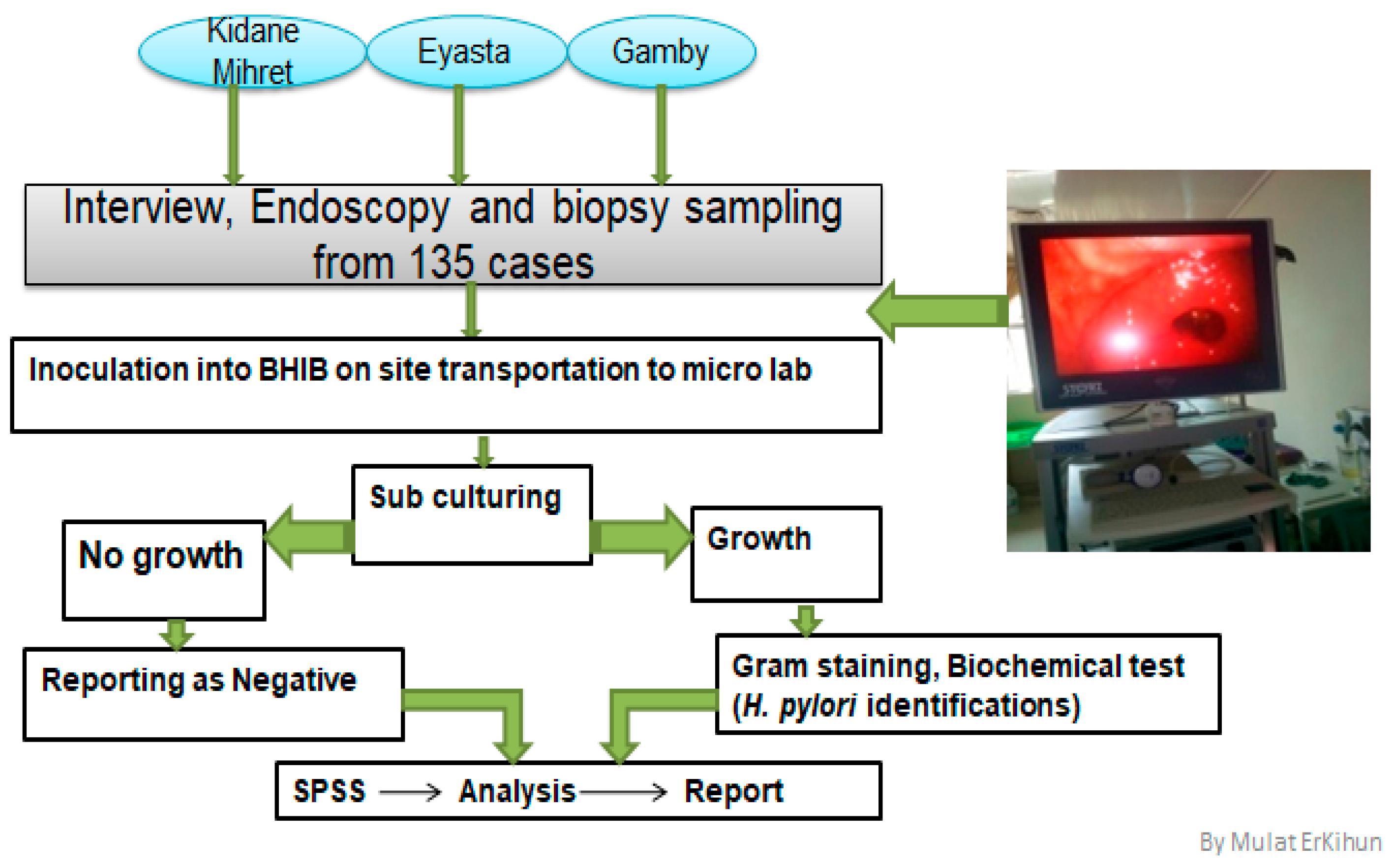 Bacteria 04 00032 g001 Bacteria 04 00032 g001