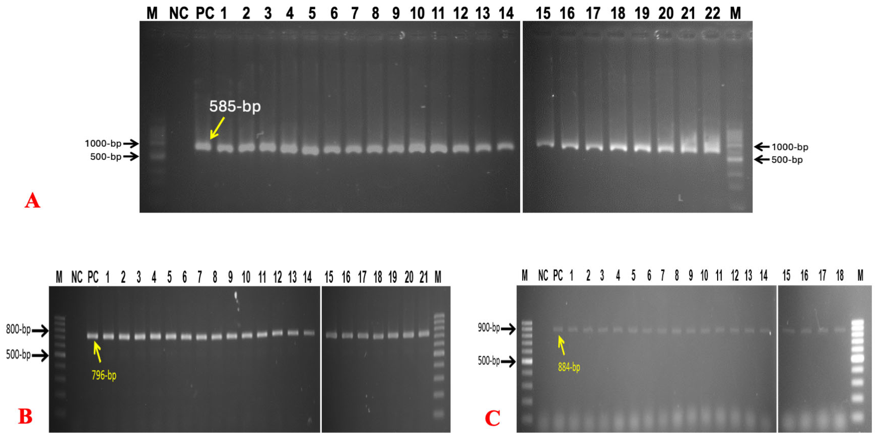 Bacteria 04 00040 g002 Bacteria 04 00040 g002