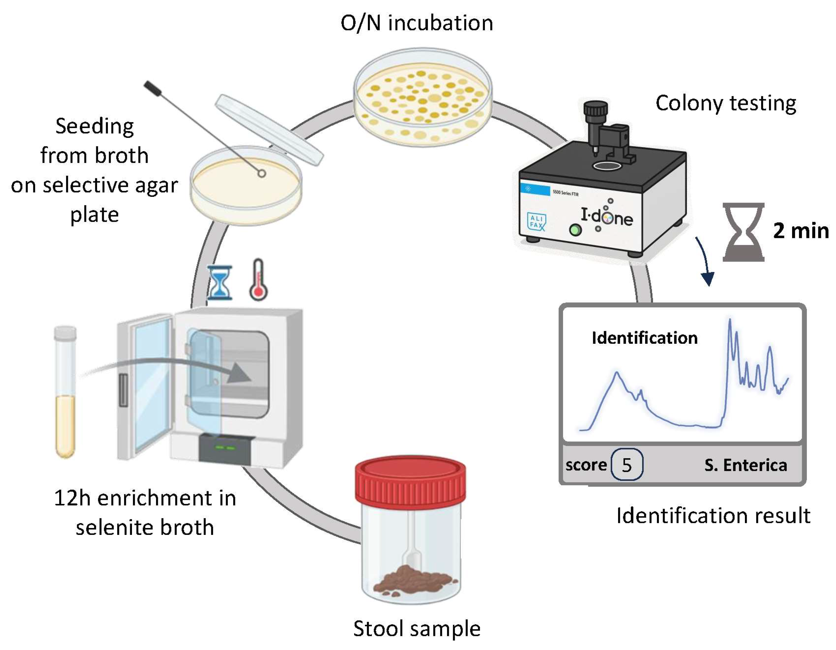 Bacteria 04 00045 g001
