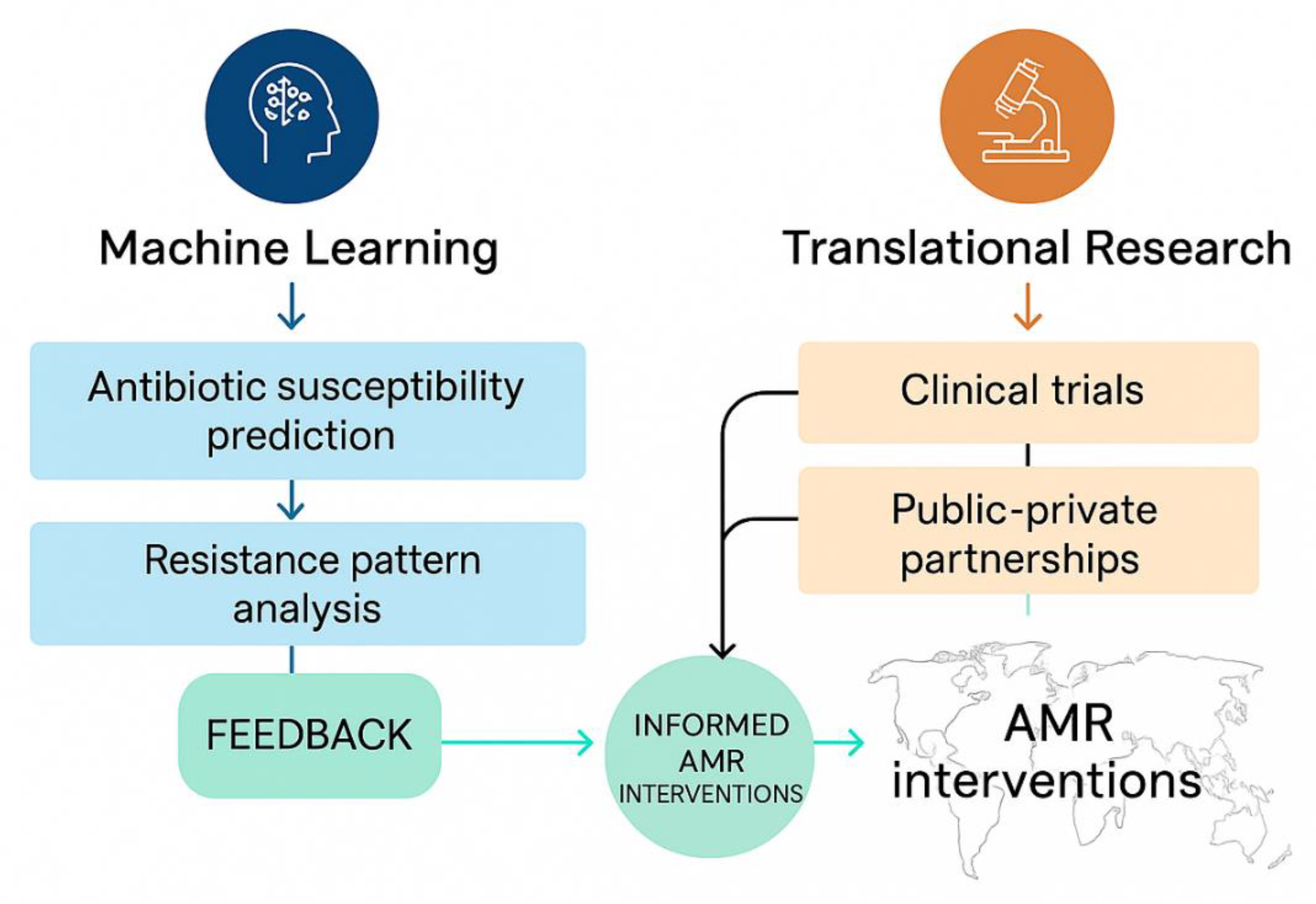 Bacteria 04 00046 g003