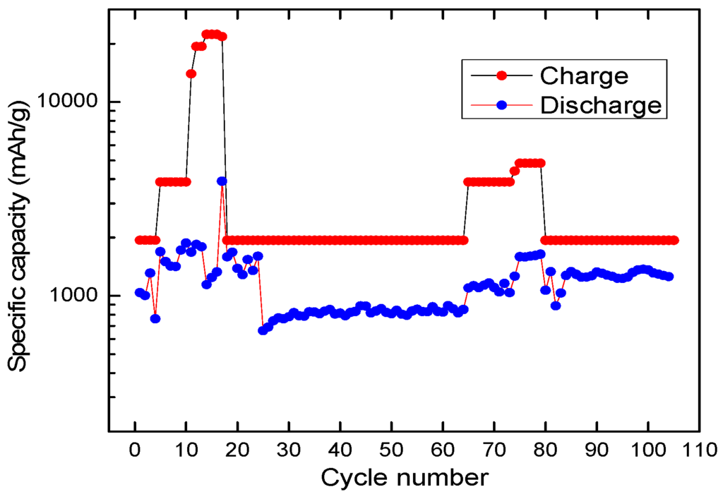 Batteries 02 00002 g009 1024
