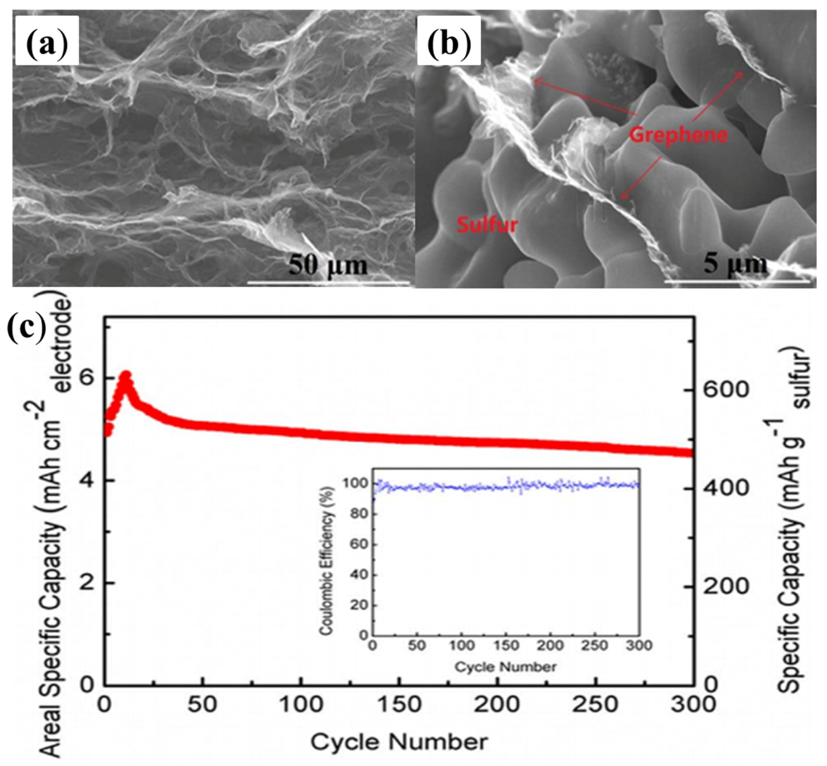 Batteries 02 00033 g012