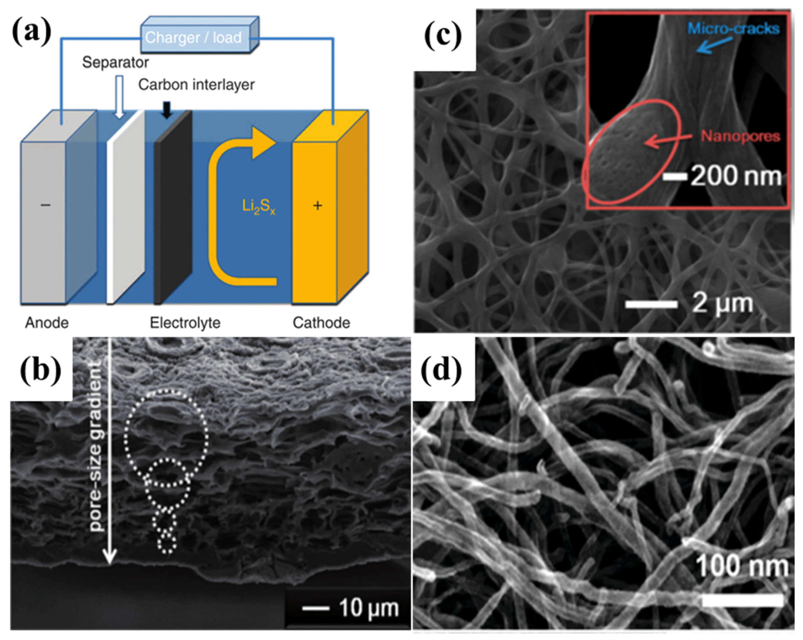 Batteries 02 00033 g013