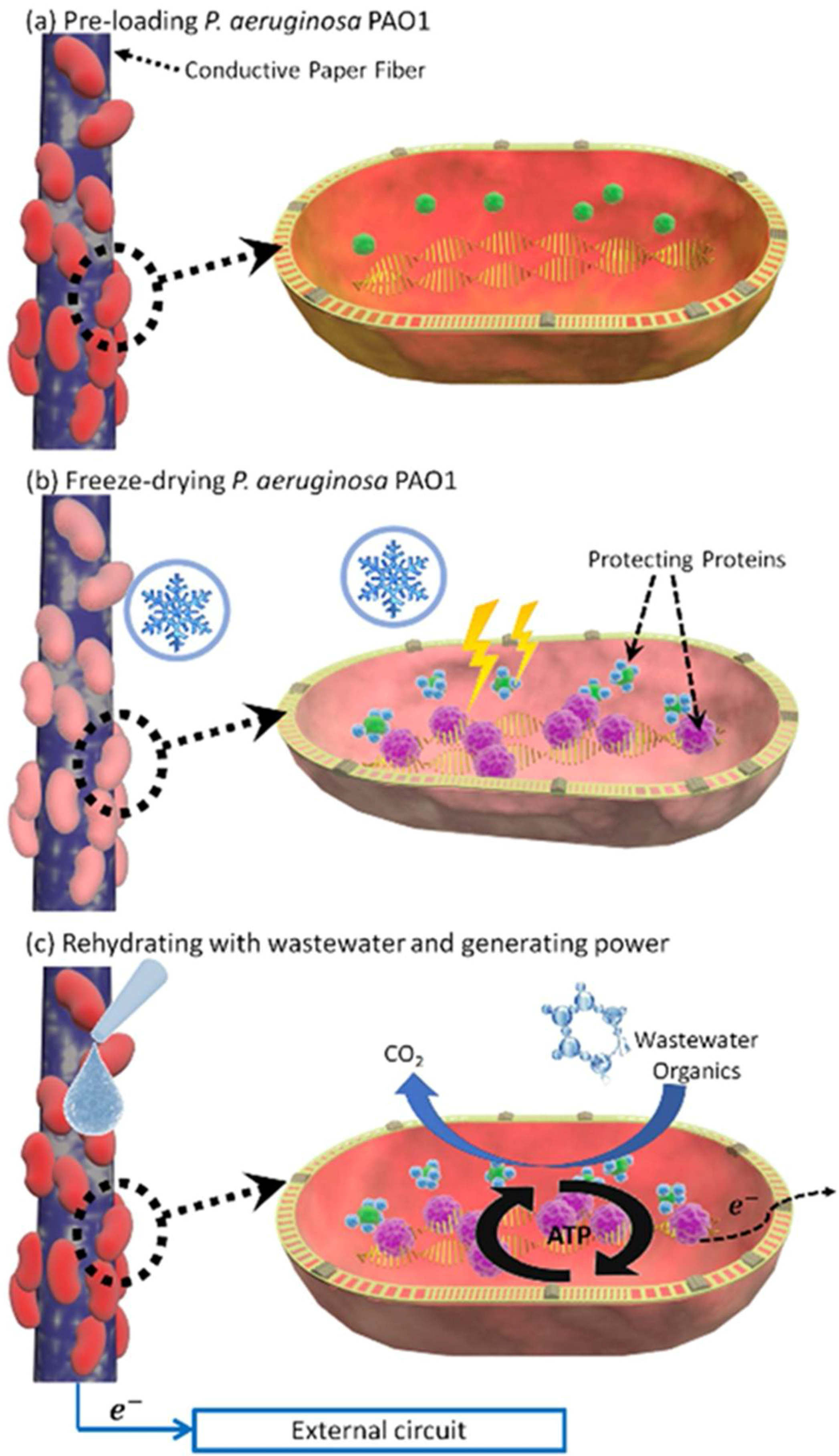 Batteries 04 00014 g005
