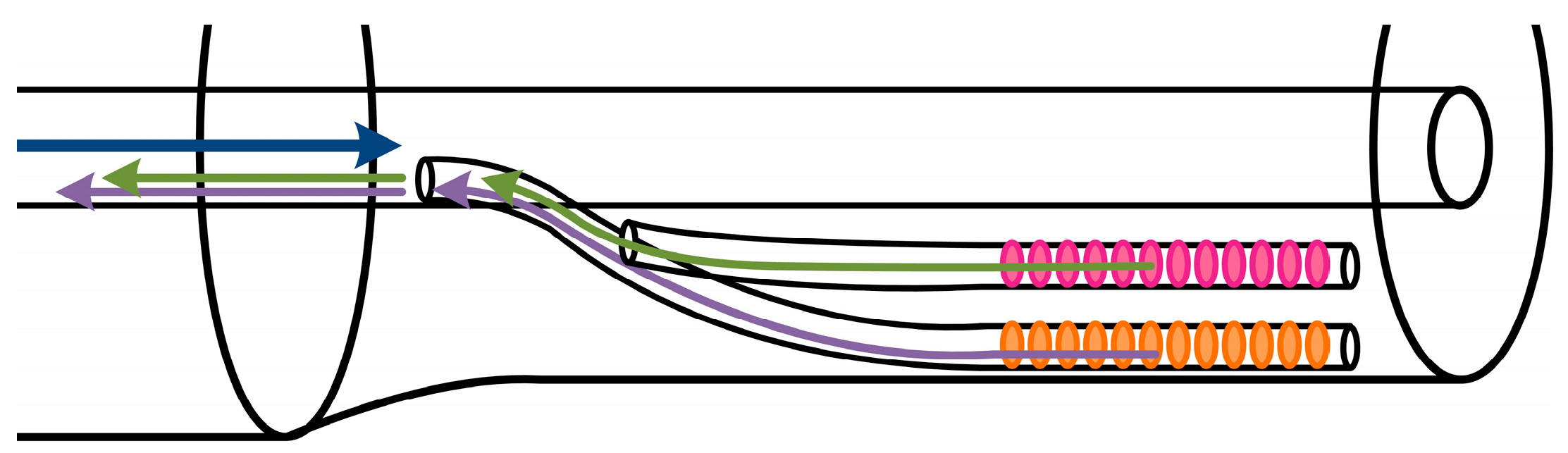 Batteries 05 00030 g012