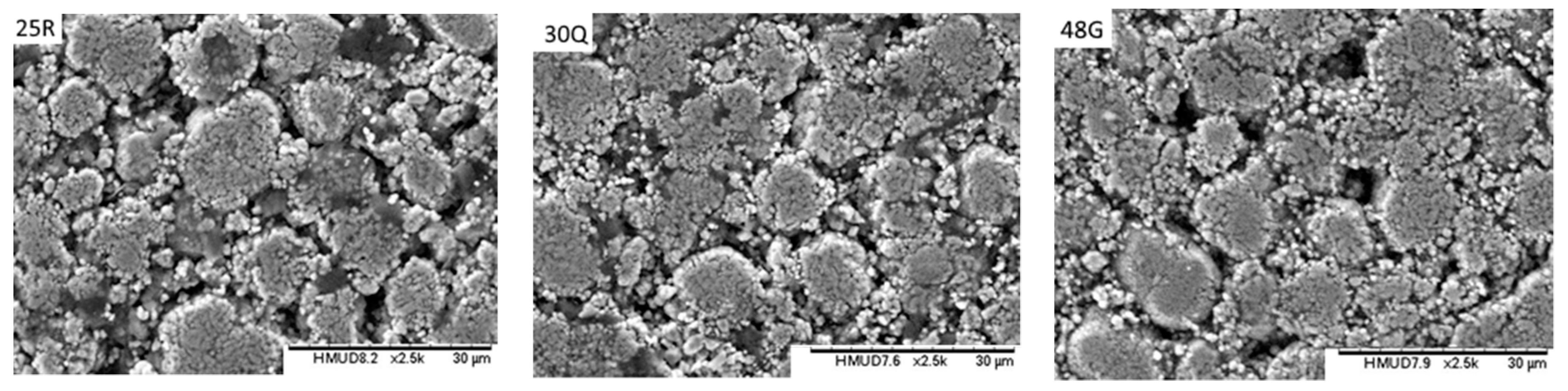 Batteries 05 00064 g009b