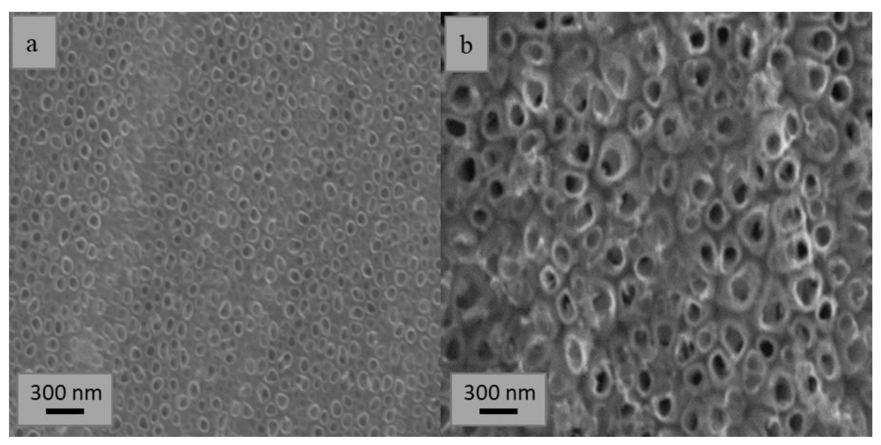 Batteries 06 00051 g002