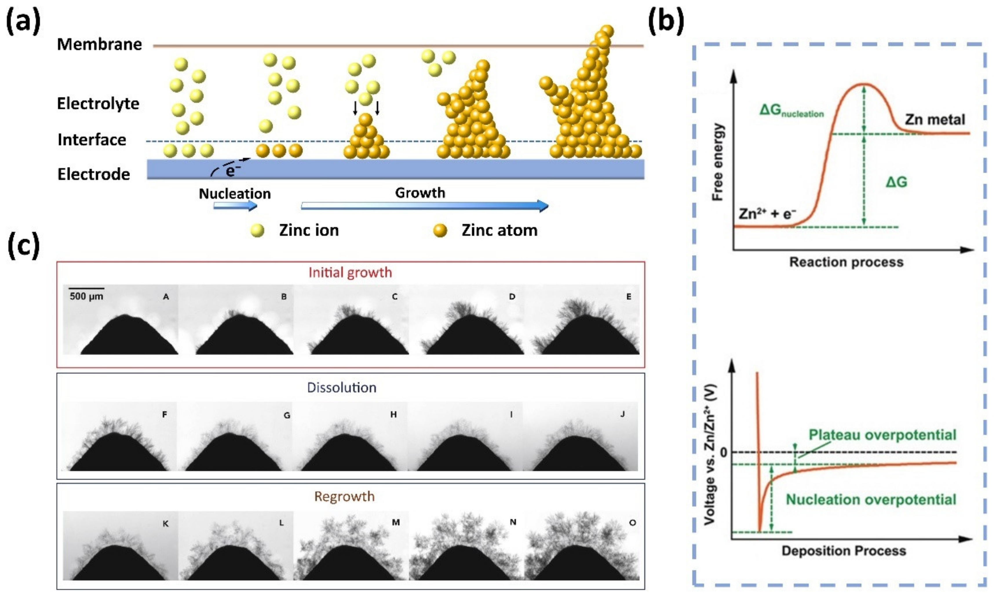 Batteries 08 00117 g001