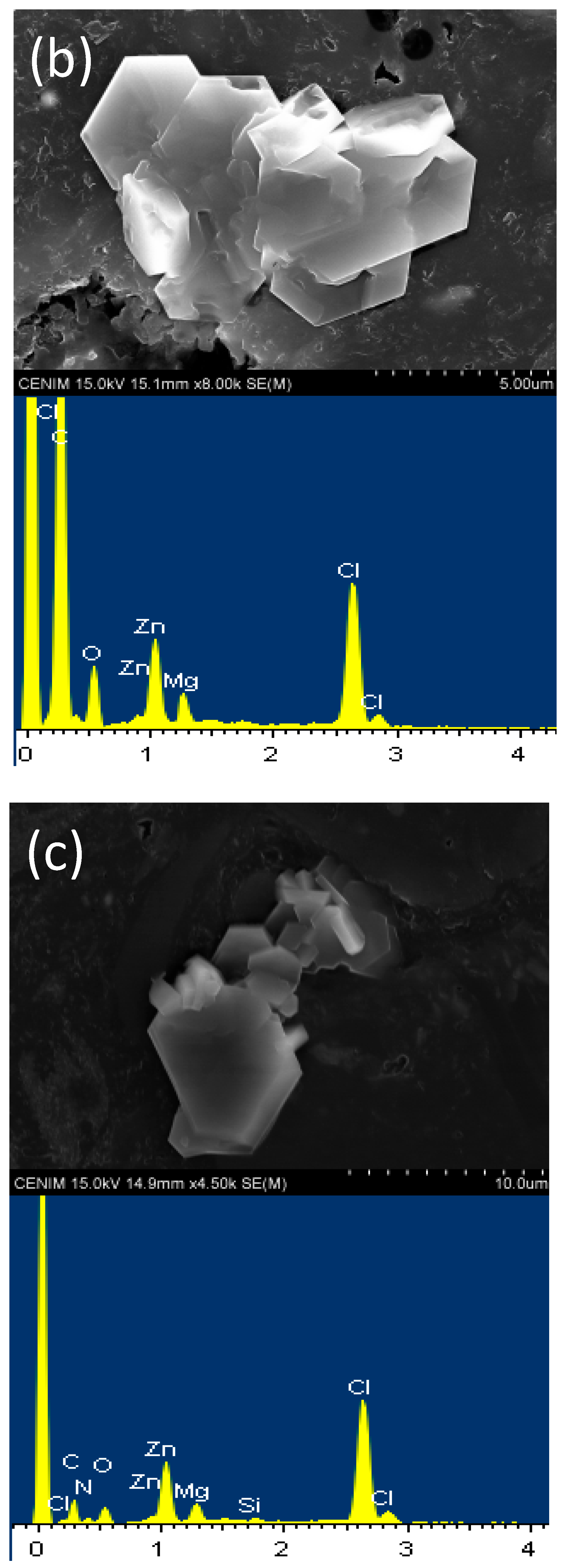 Batteries 09 00012 g007b