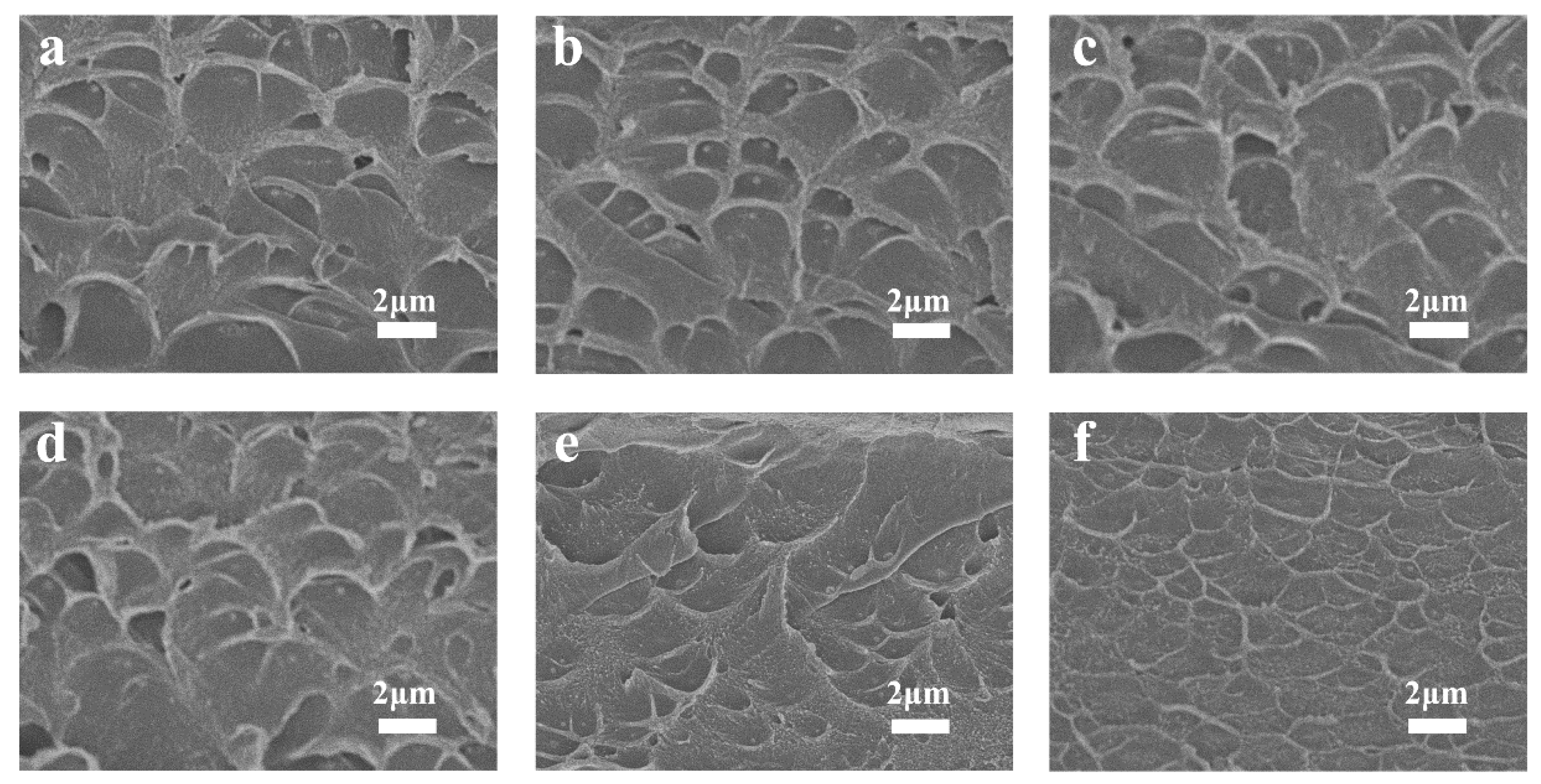 Batteries 09 00141 g002