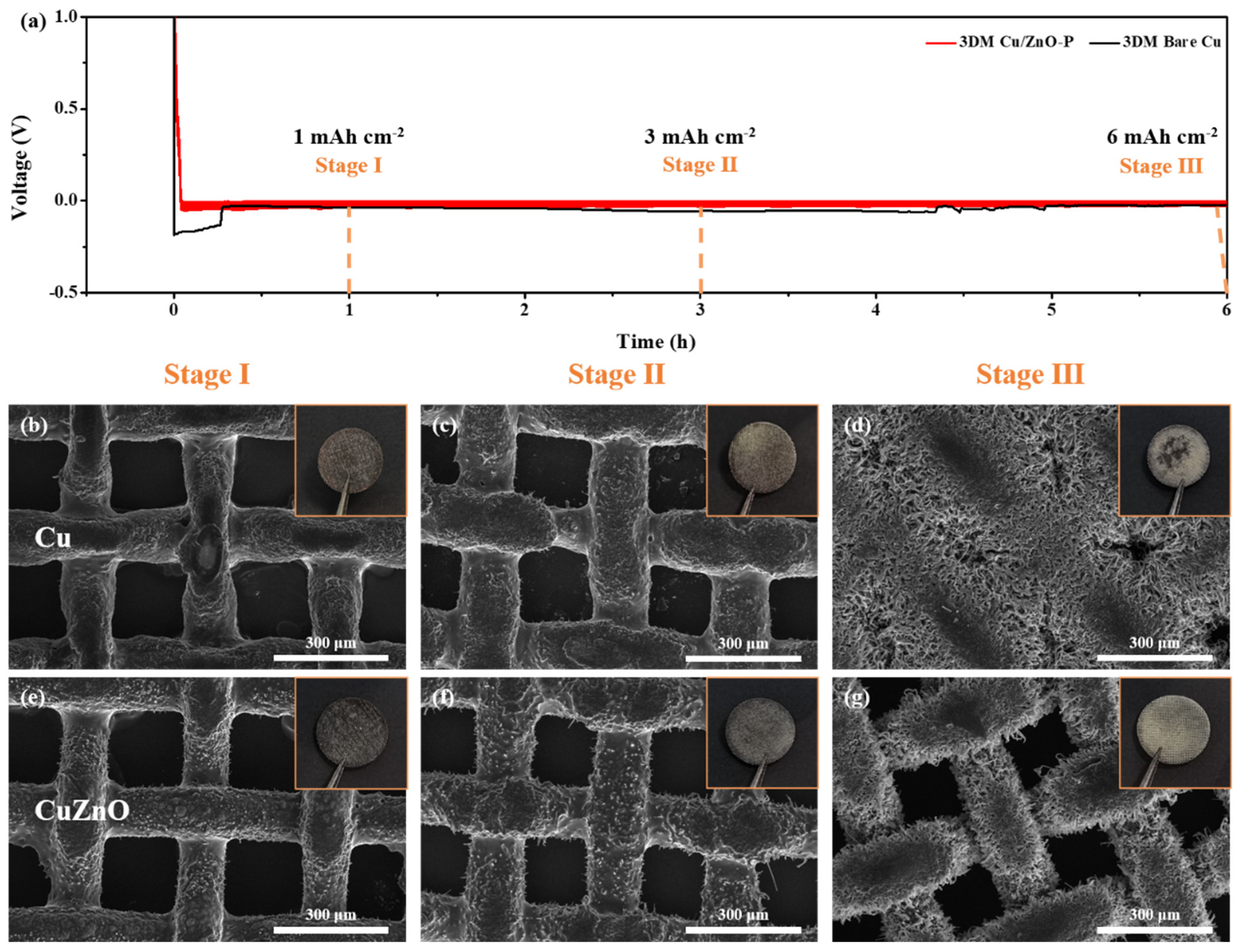 Batteries 09 00188 g002