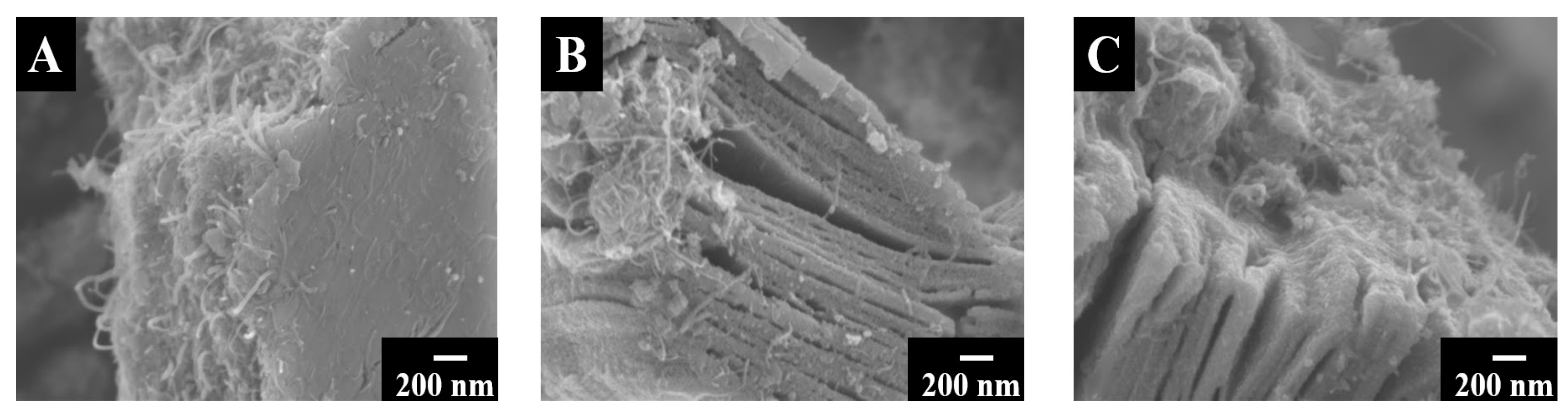 Batteries 09 00327 g004