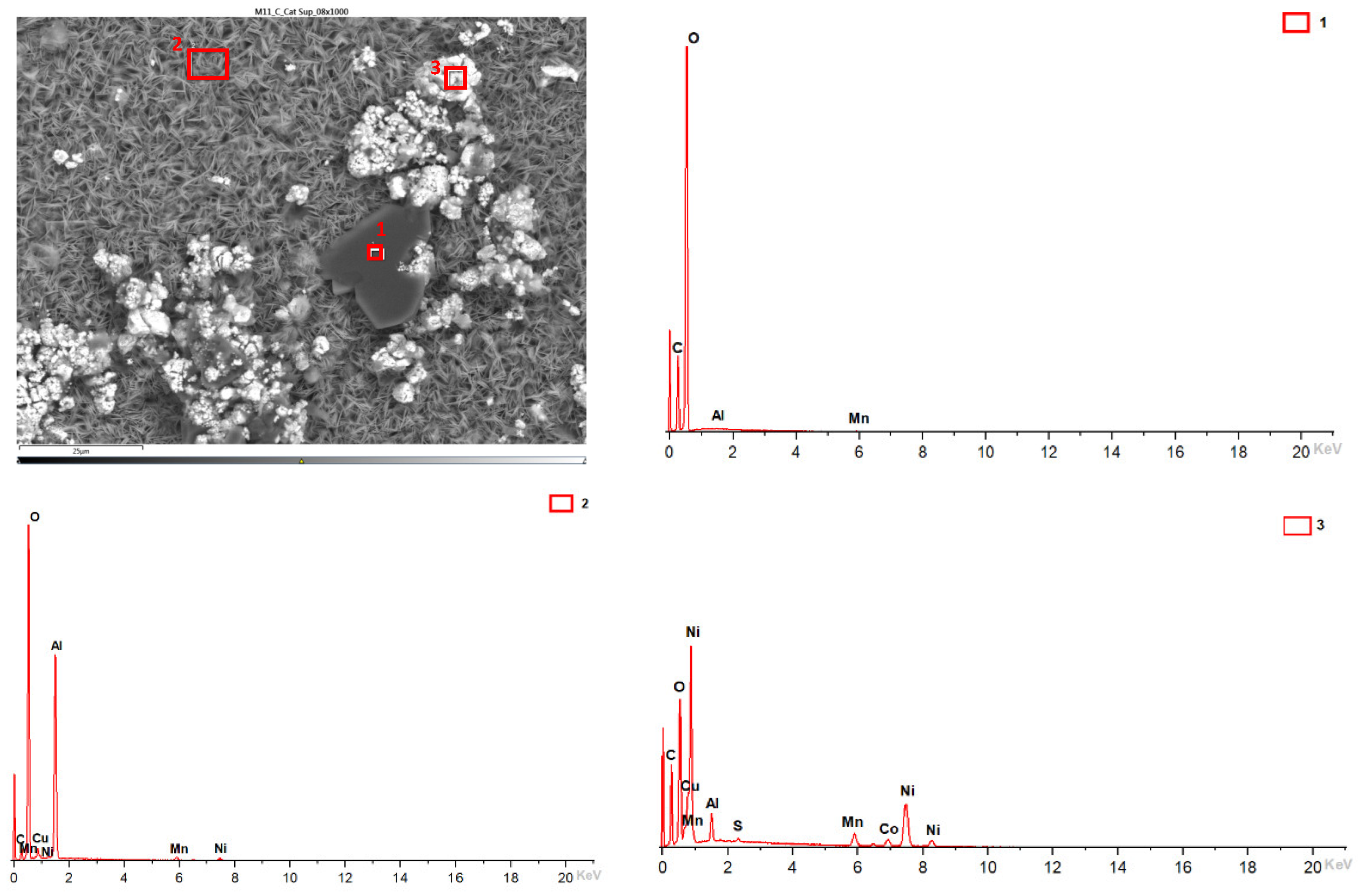 Batteries 10 00055 g025