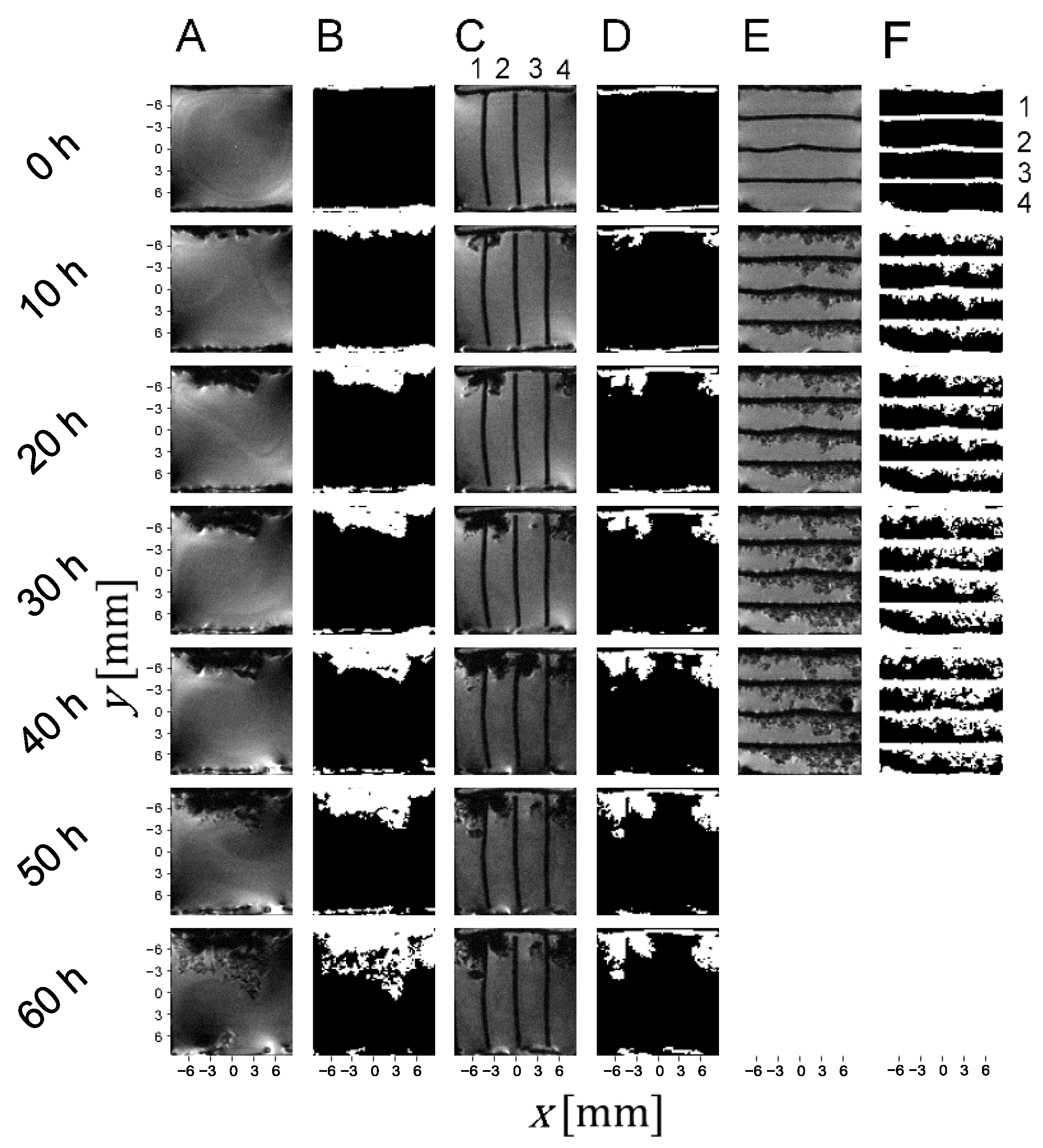 Batteries 10 00165 g002