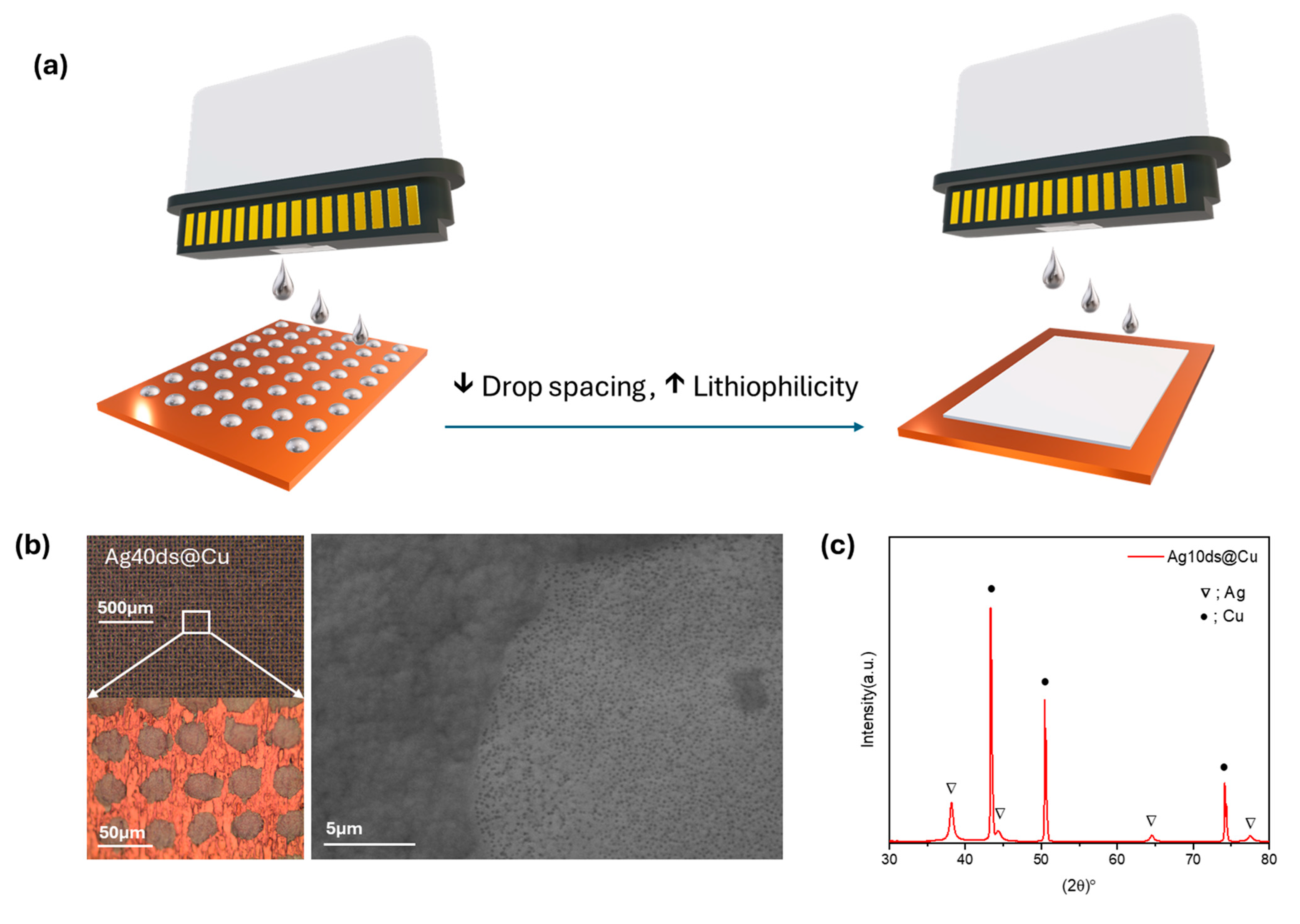 Batteries 10 00369 g001