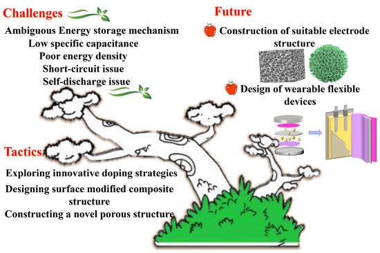 Batteries 10 00396 g010