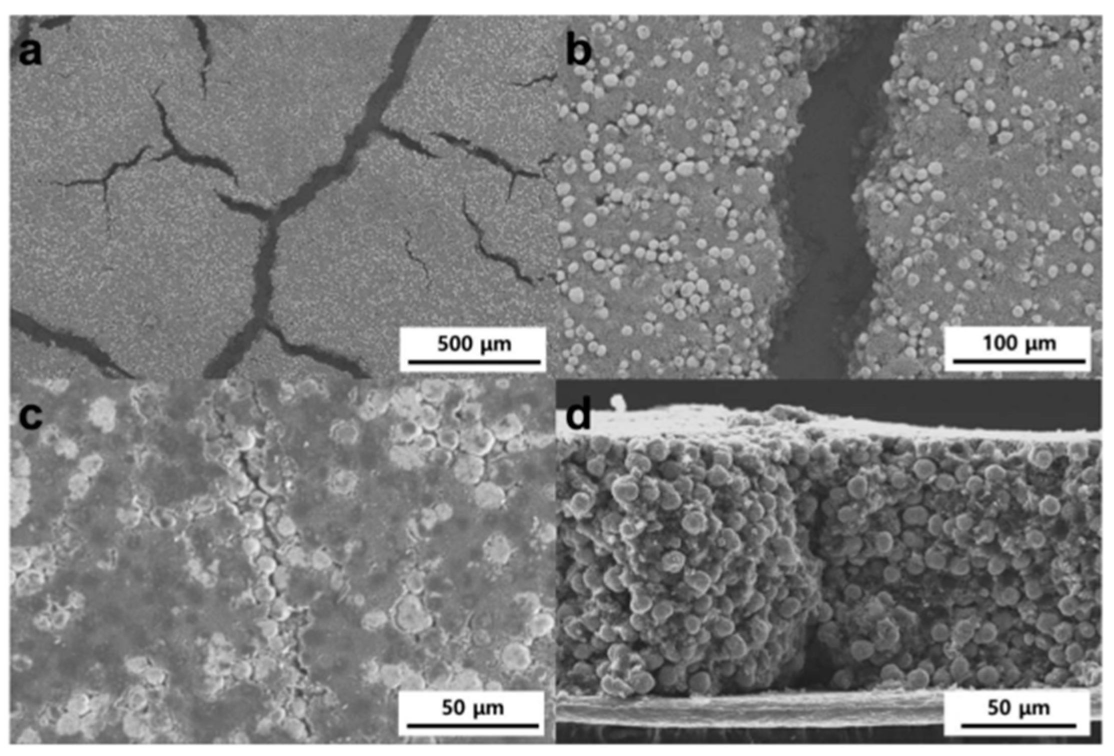 Batteries 11 00014 g010