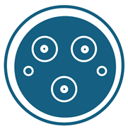 Batteries 11 00229 i002