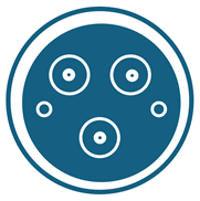 Batteries 11 00229 i004