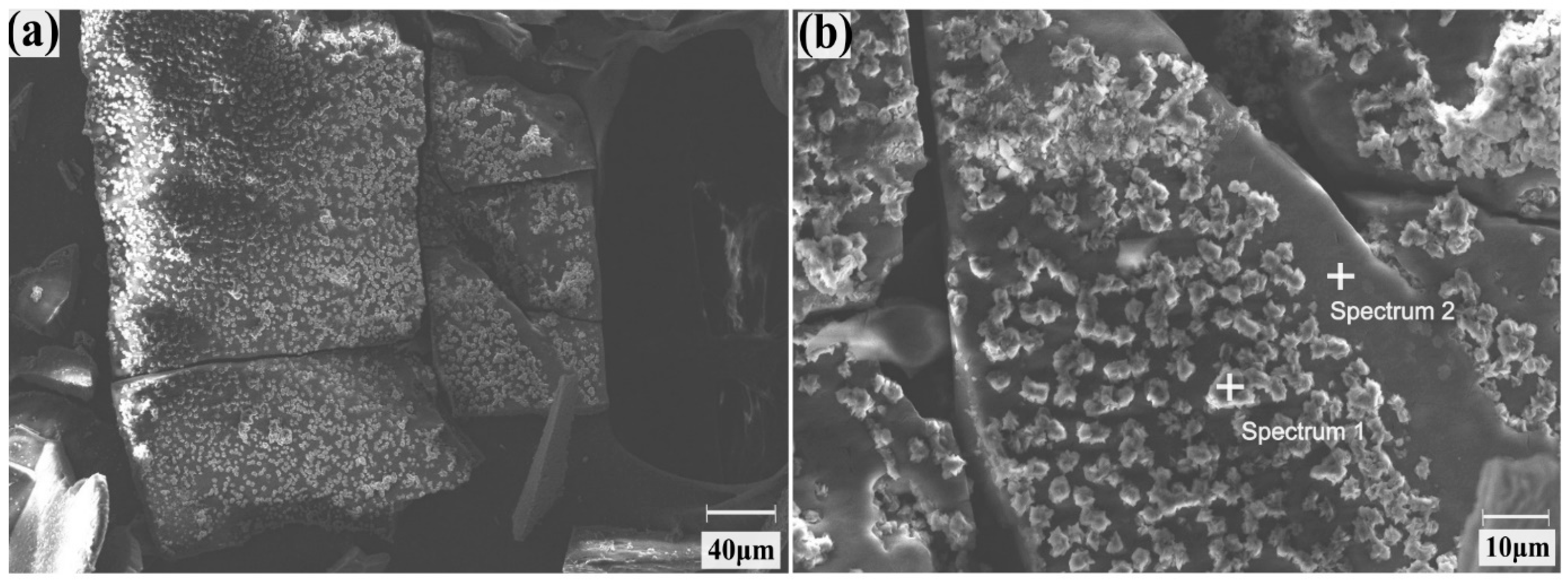 Batteries 12 00035 g005