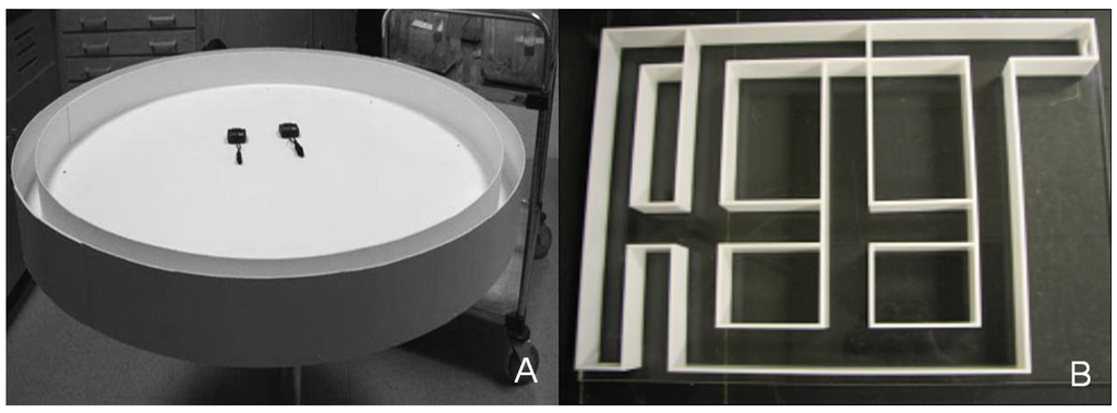 Behavsci 02 00172 g001 1024